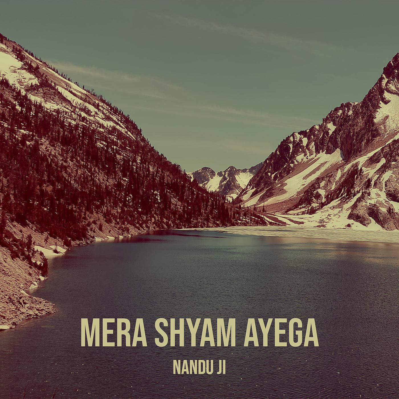 Постер альбома Mera Shyam Ayega