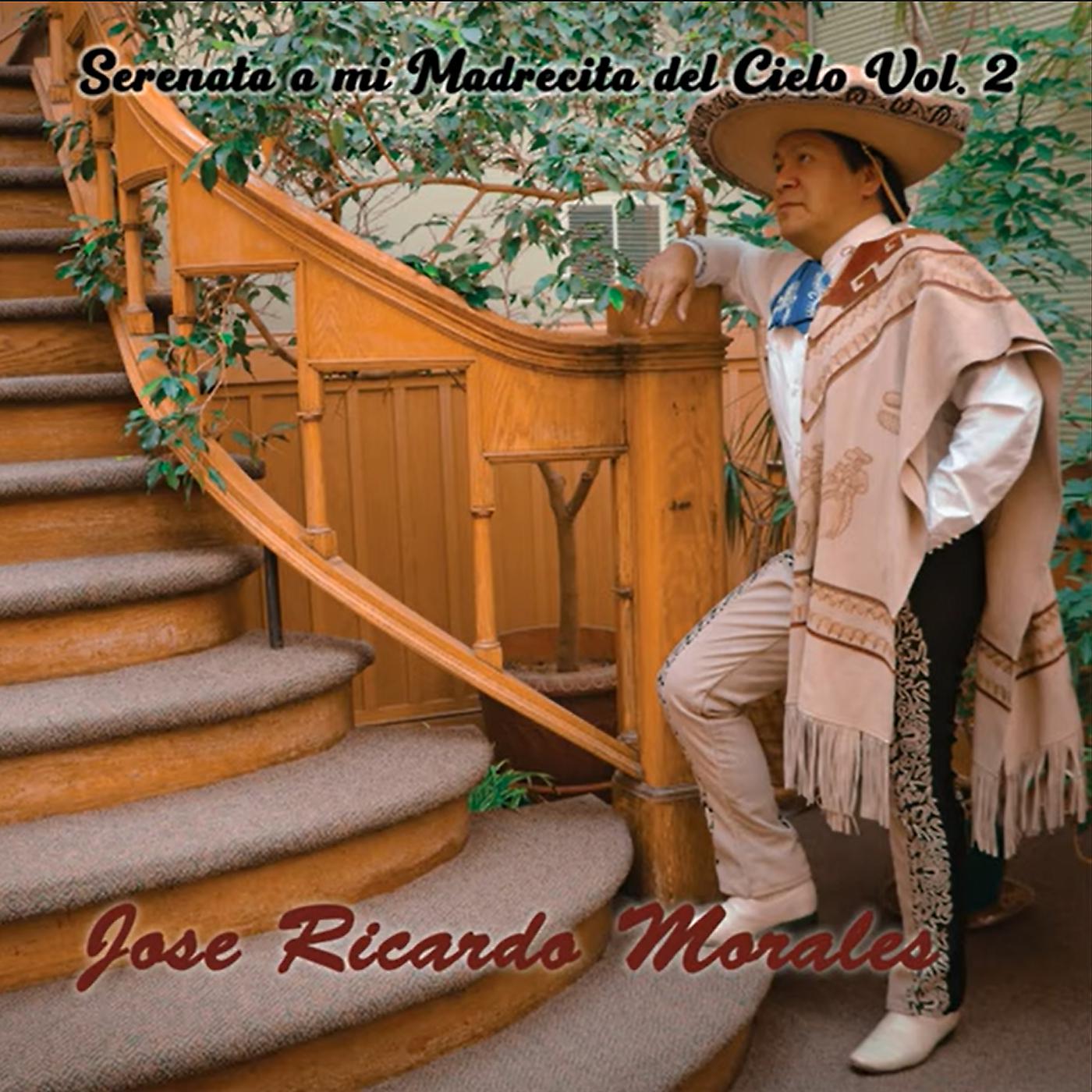 Постер альбома Serenata a Mi Madrecita Del Cielo, Vol. 2