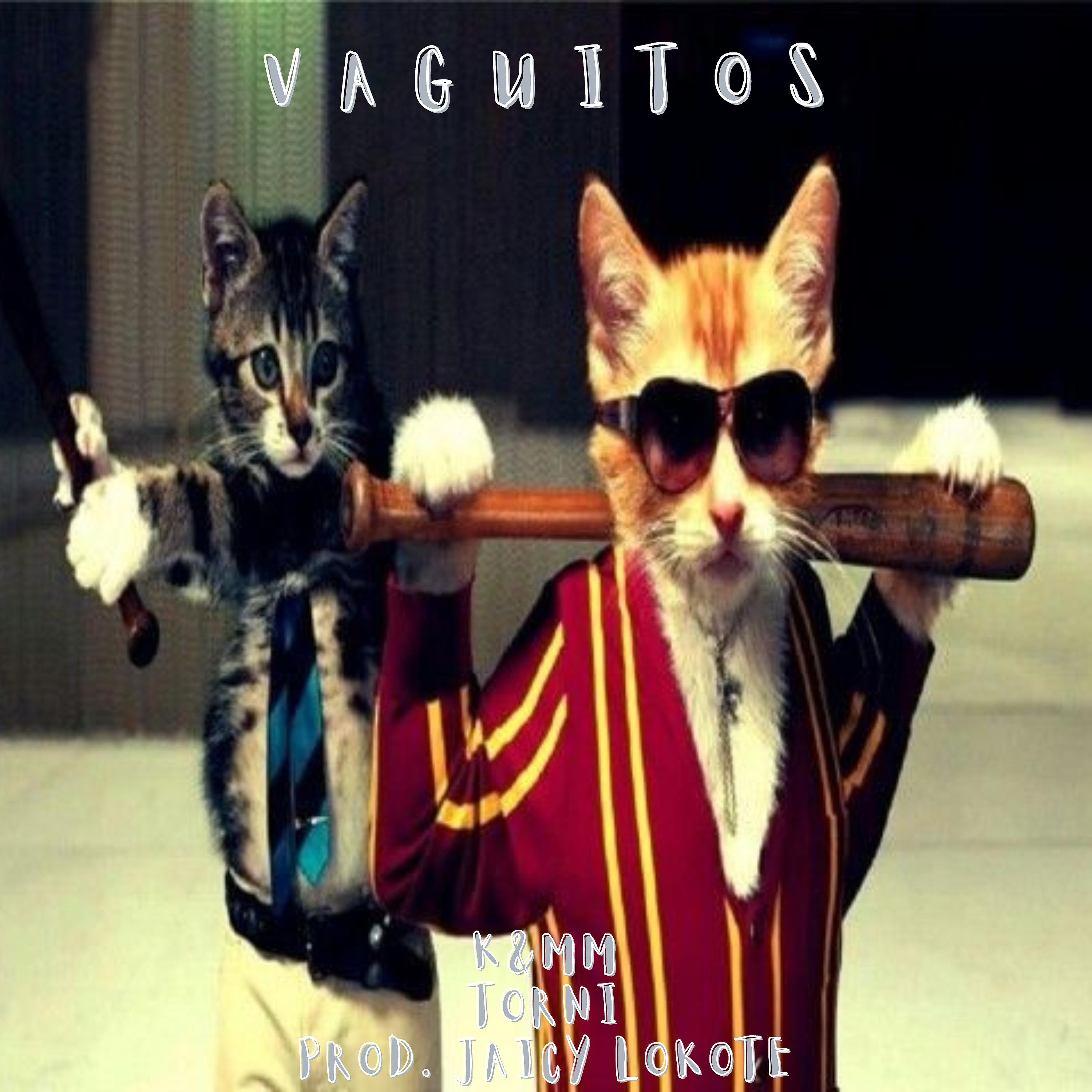 Постер альбома Vaguitos