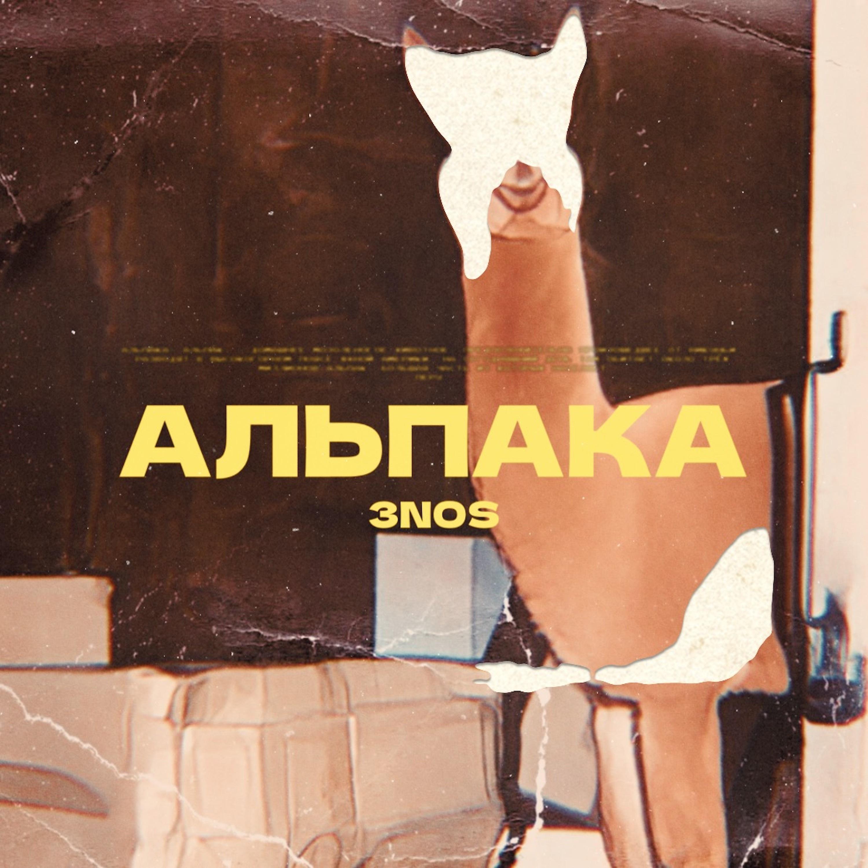 Постер альбома Альпака