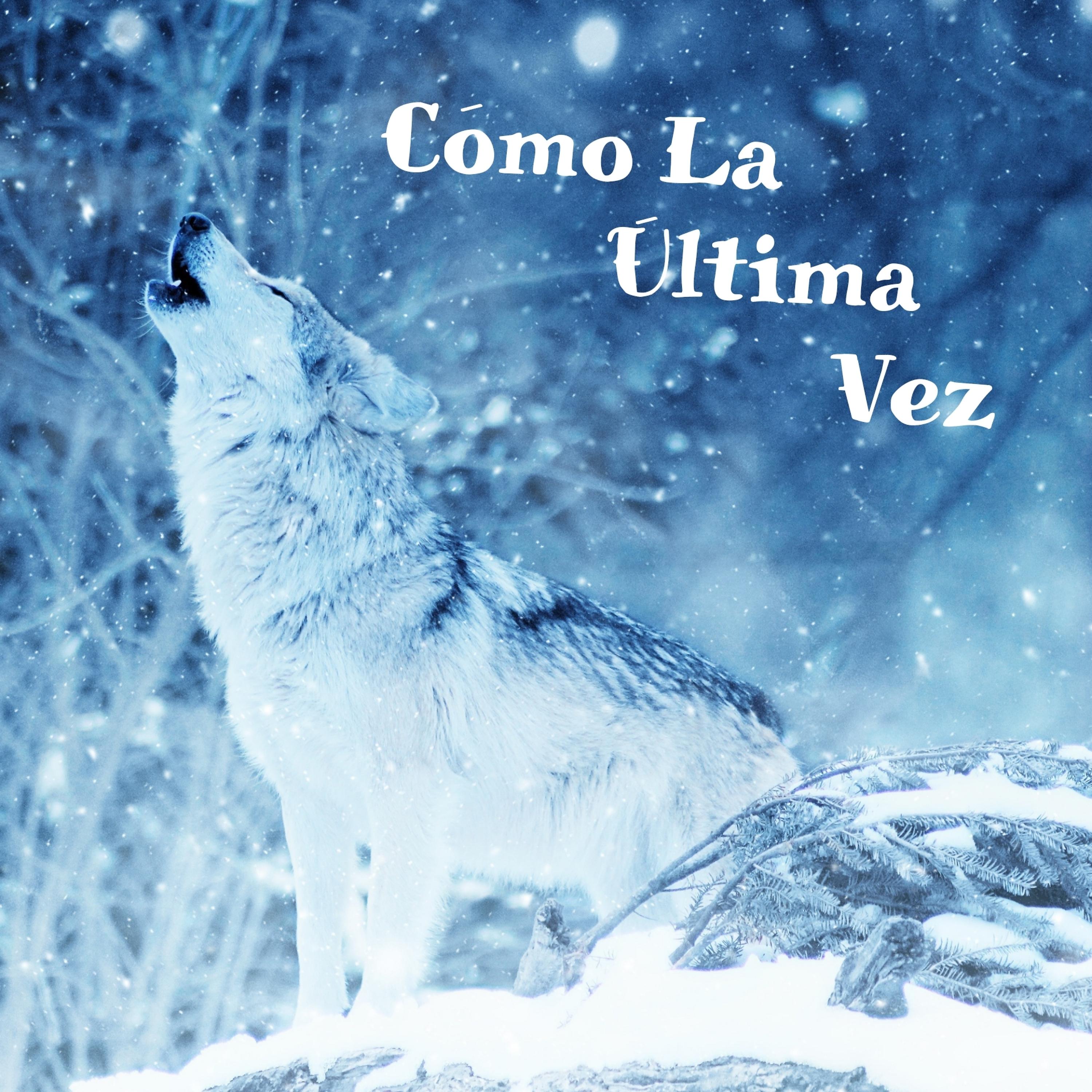 Постер альбома Cómo la Última Vez