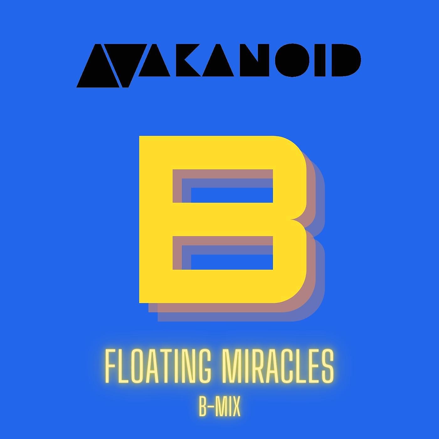 Постер альбома Floating Miracles