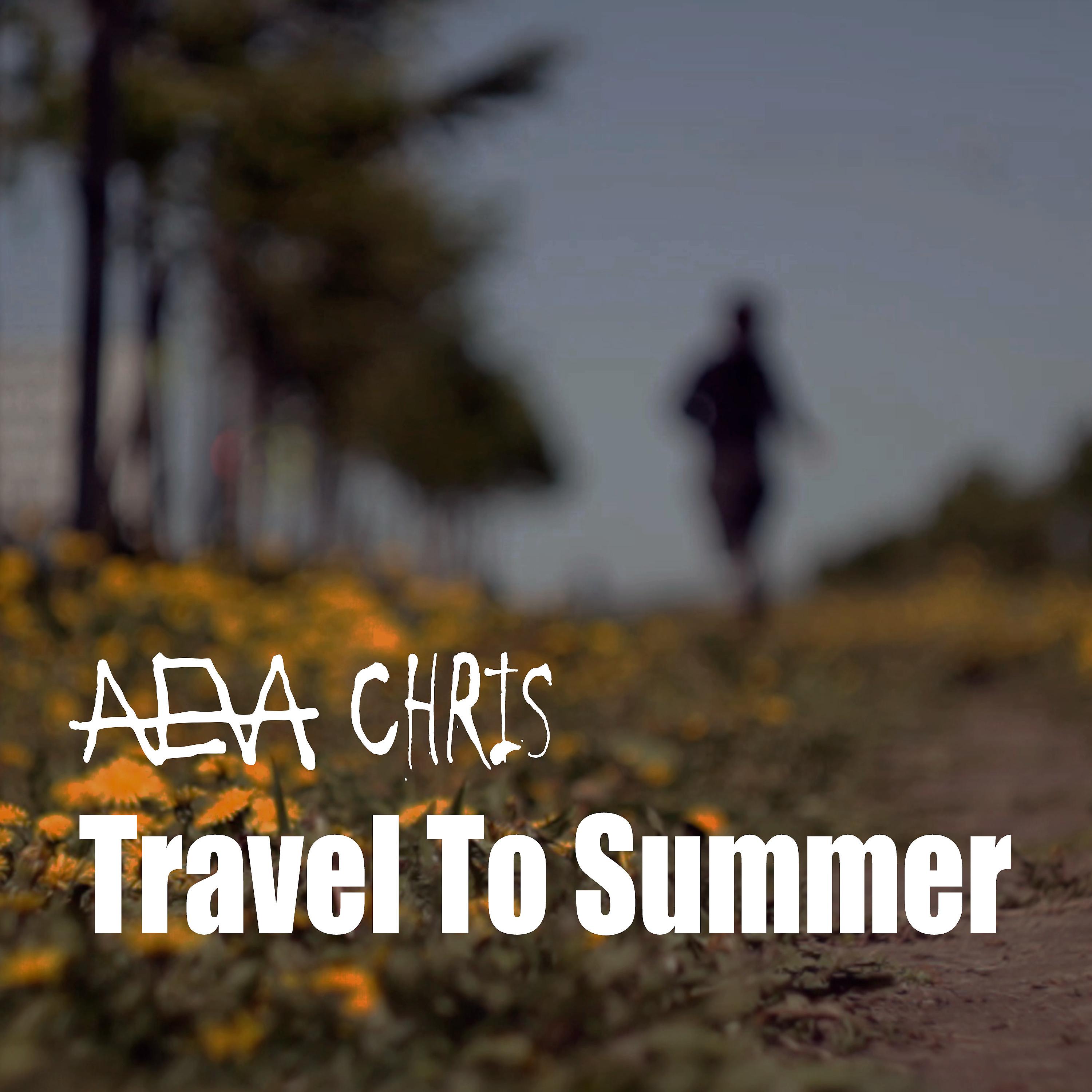 Постер альбома Travel to Summer