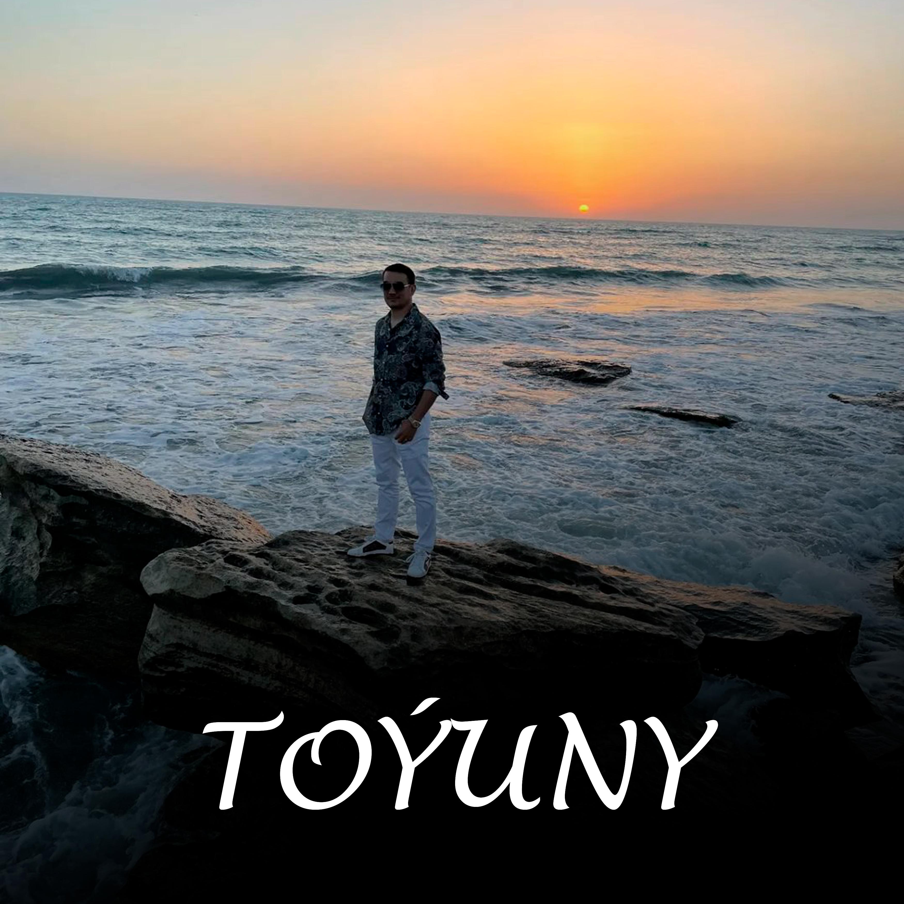 Постер альбома Toýuny