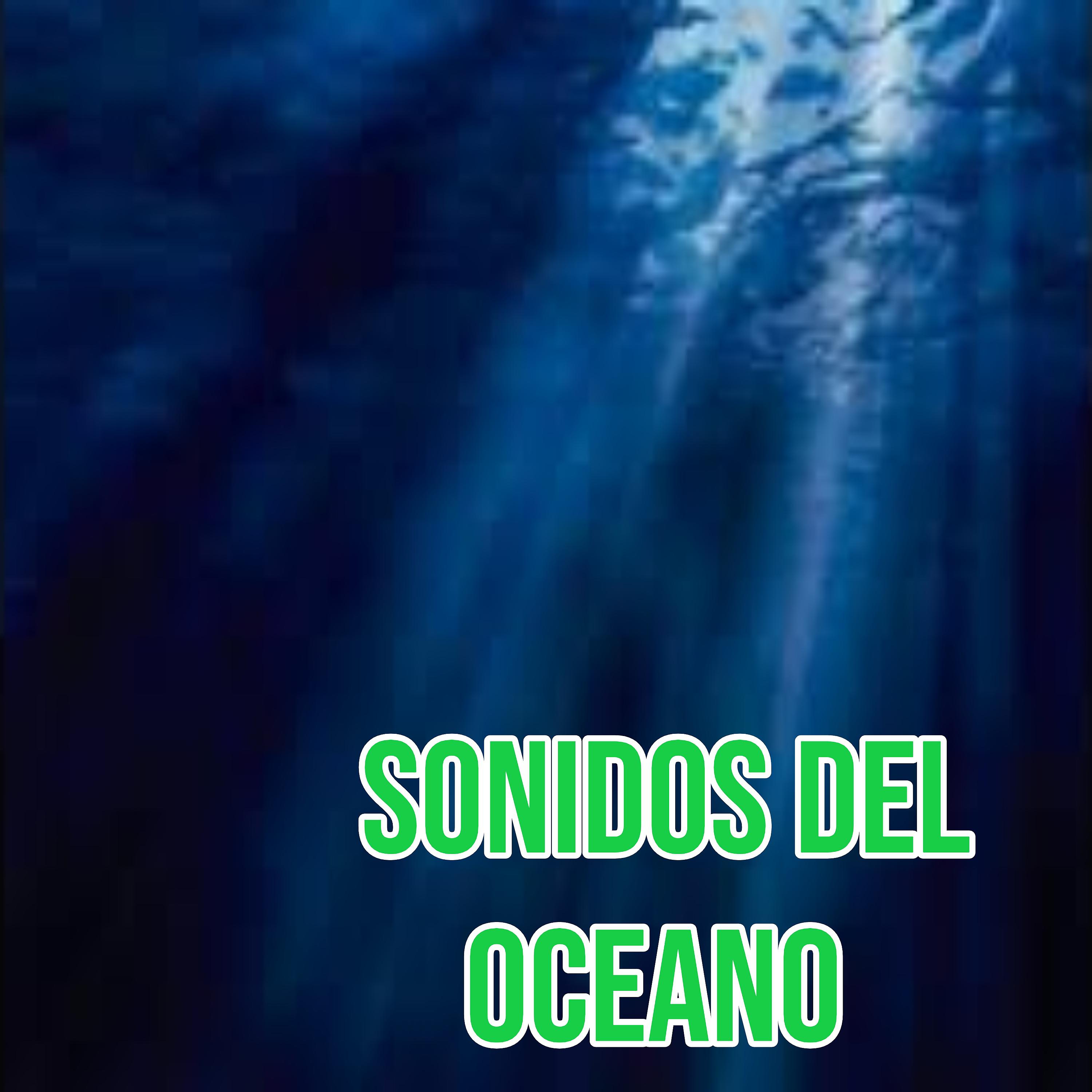 Постер альбома Sonidos del Oeano