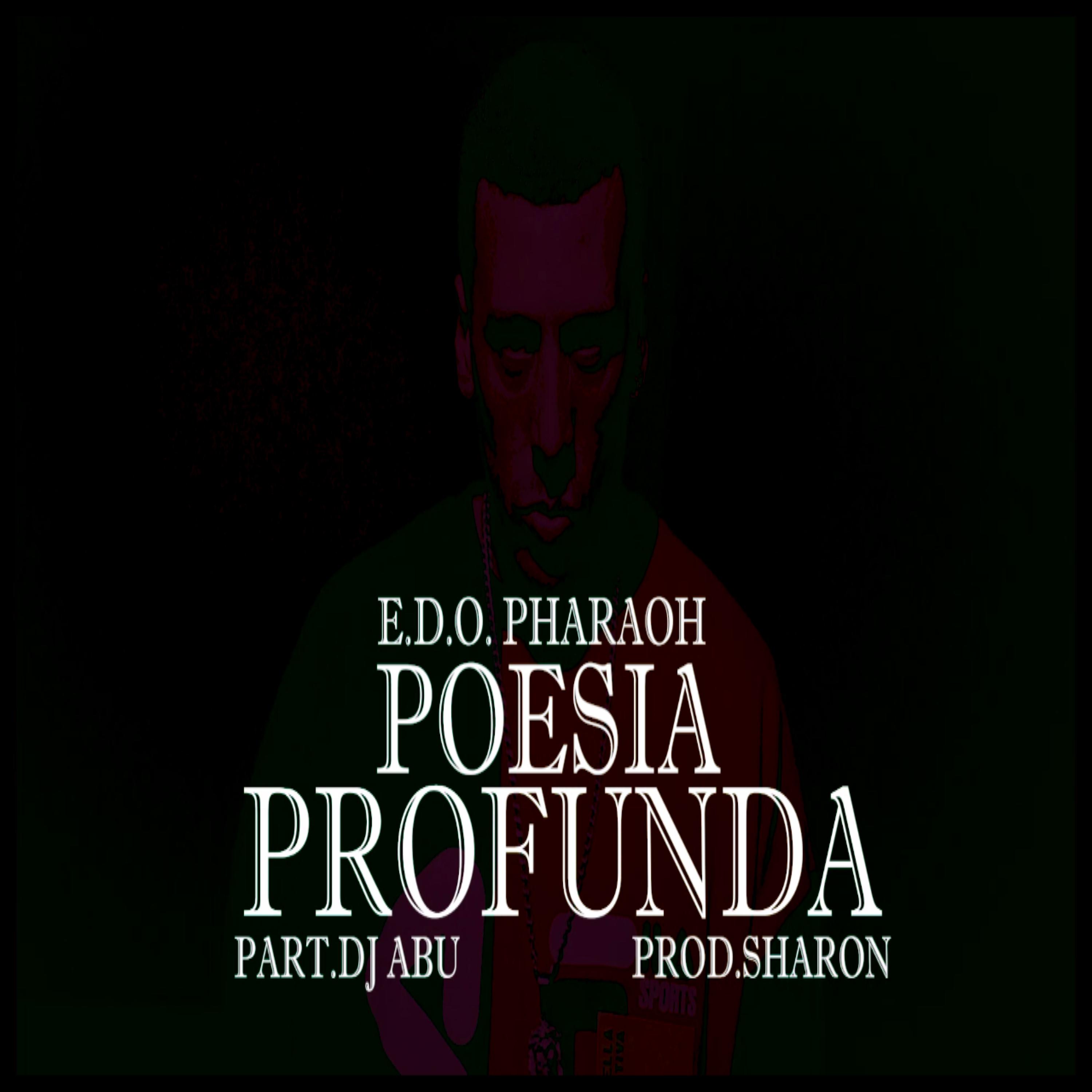 Постер альбома Poesia Profunda