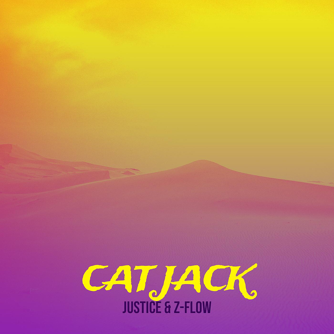 Постер альбома Cat Jack