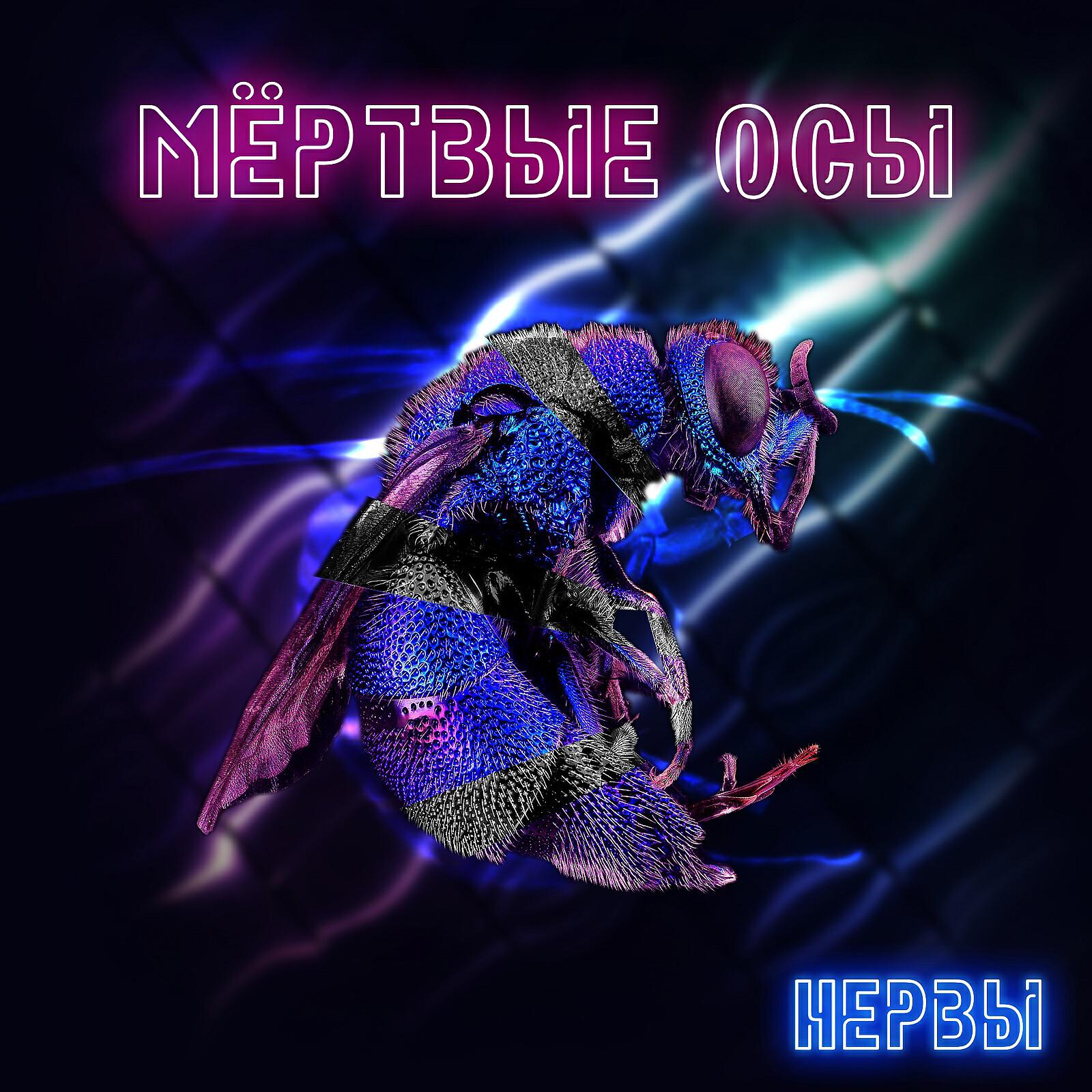 Постер альбома Нервы