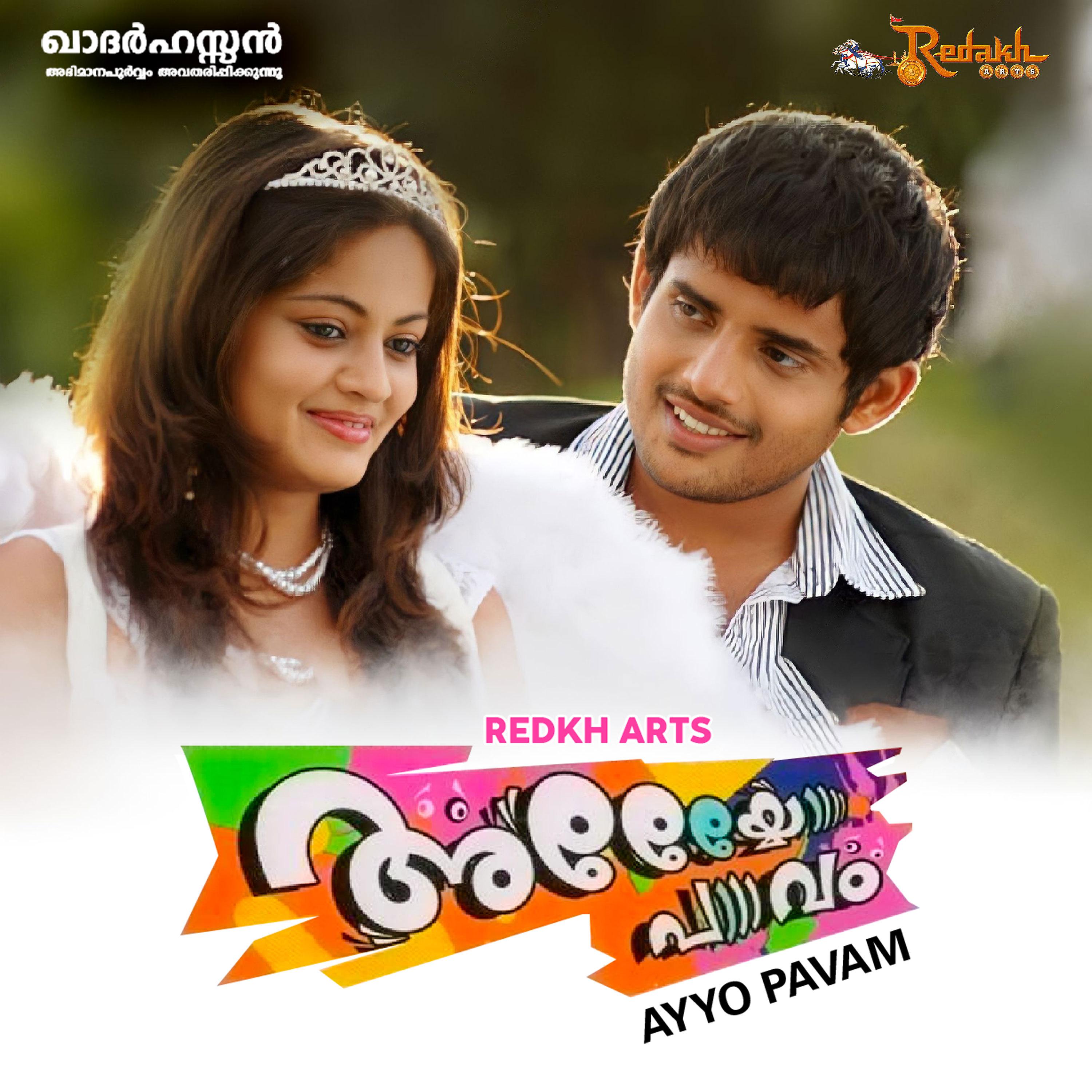 Постер альбома Ayyo Paavam