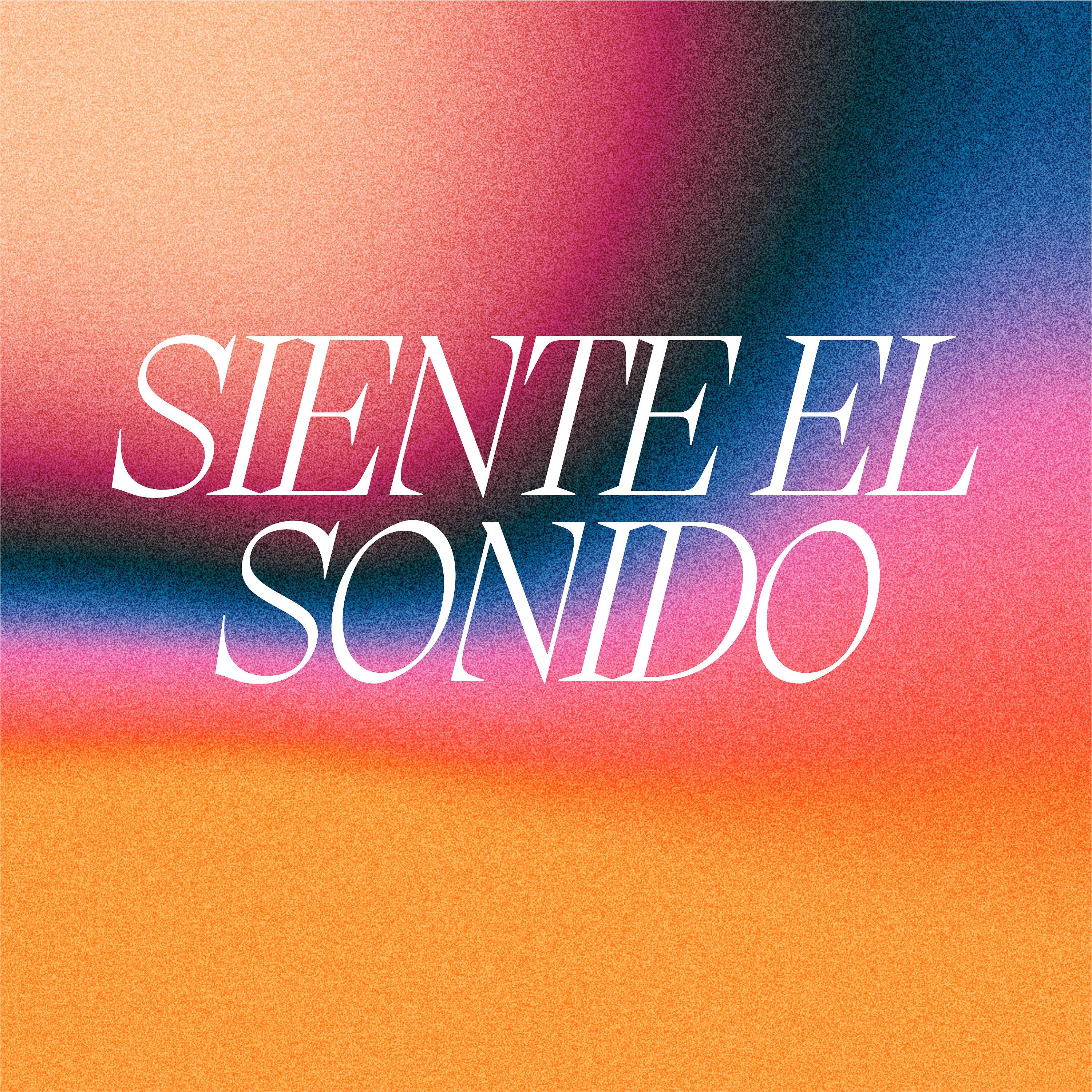 Постер альбома Siente el Sonido