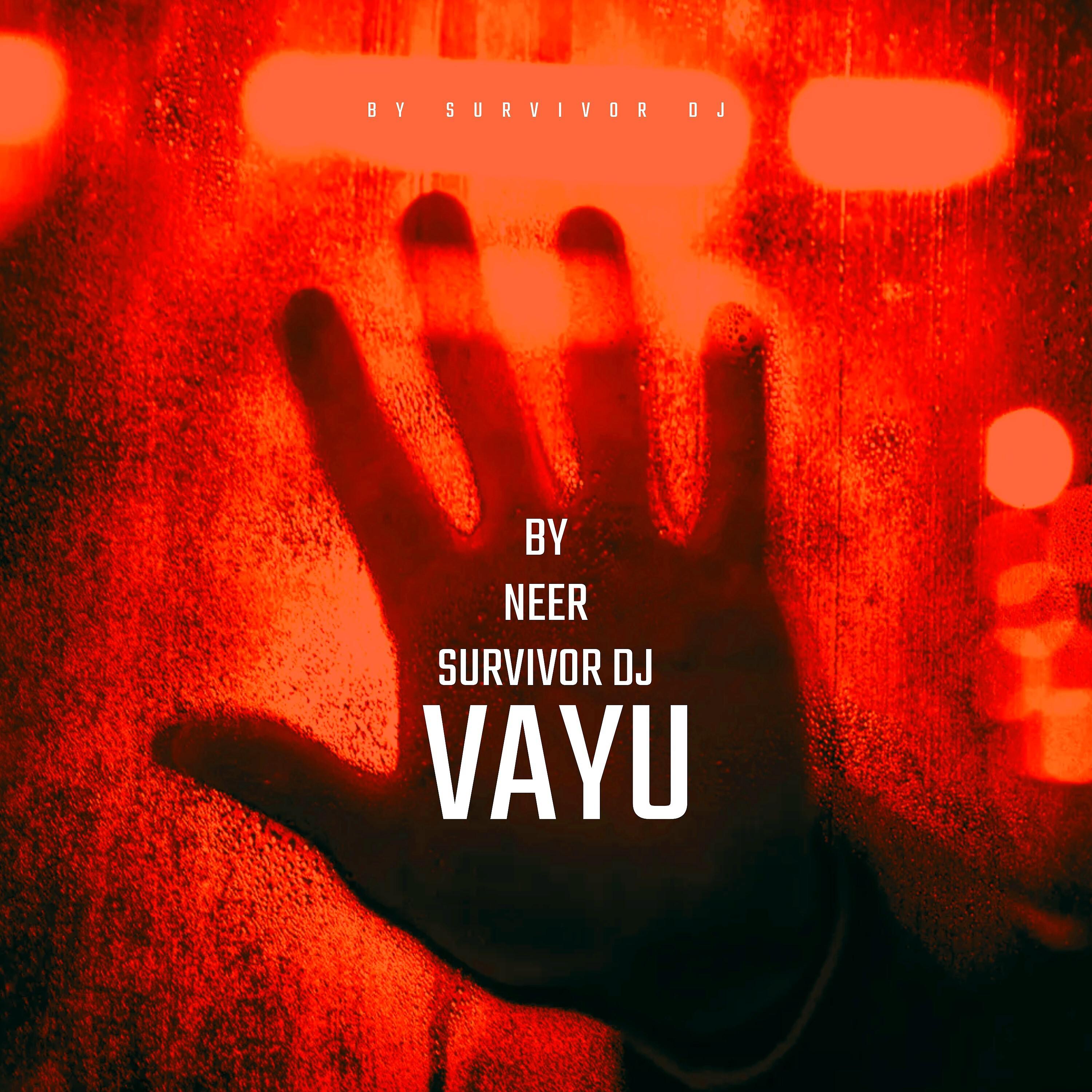 Постер альбома Vayu