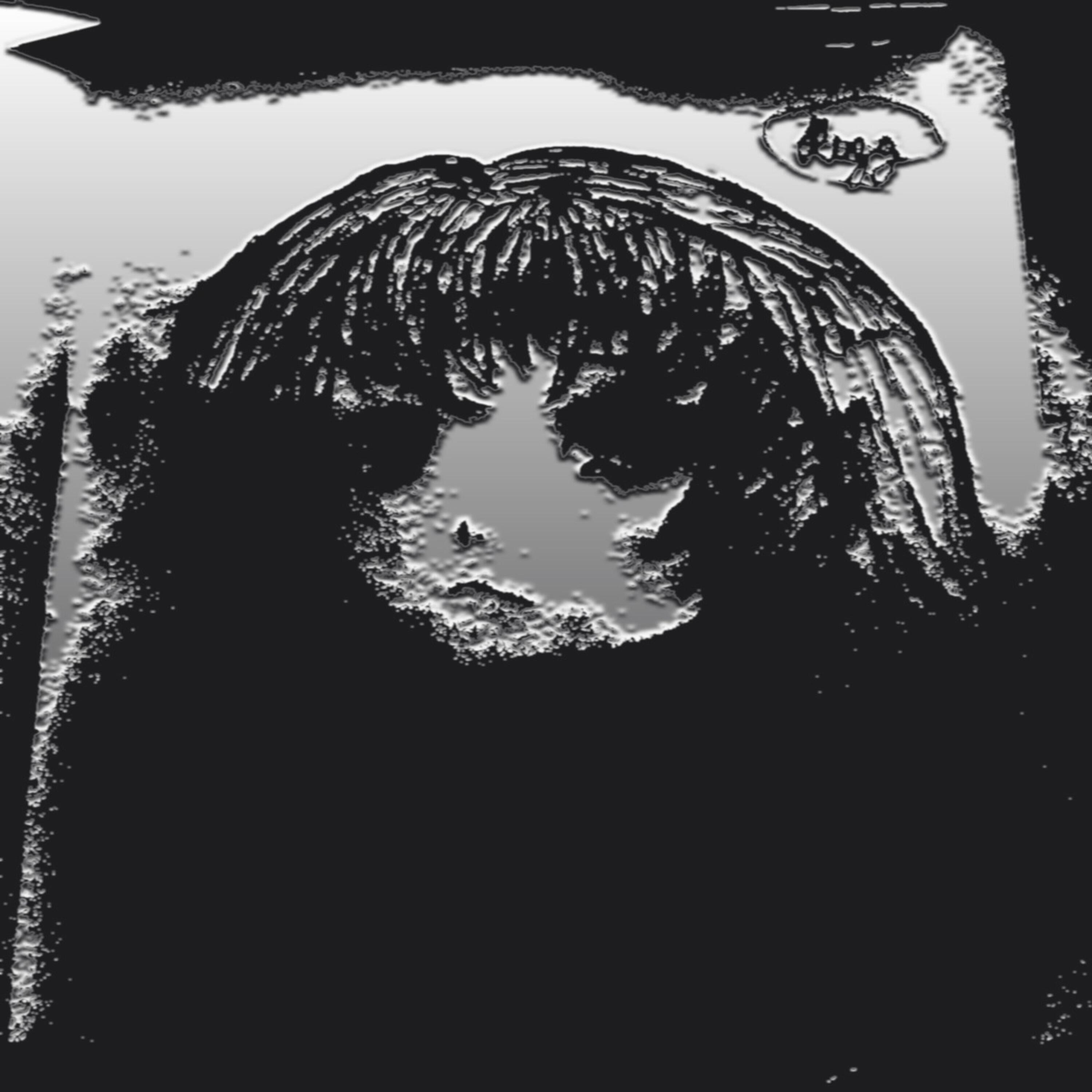STAYER - Кровавая Мэри