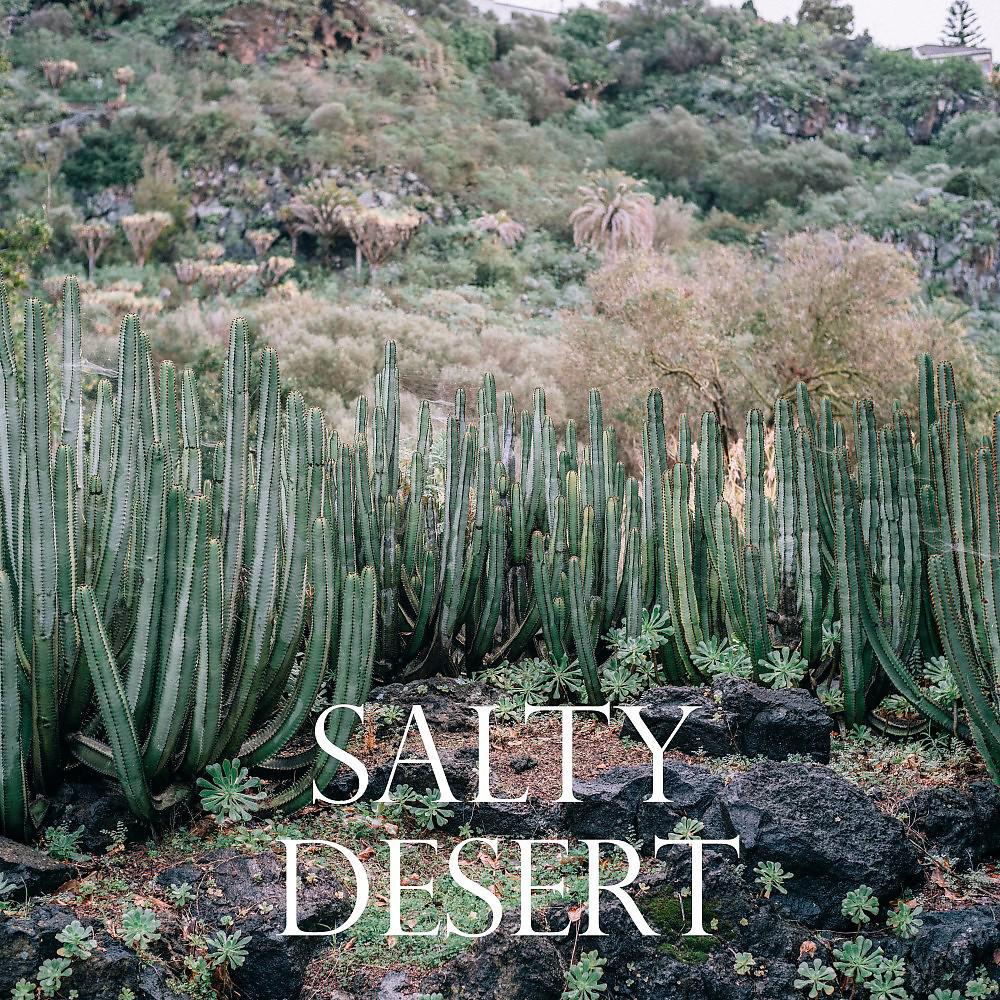 Постер альбома Salty Desert