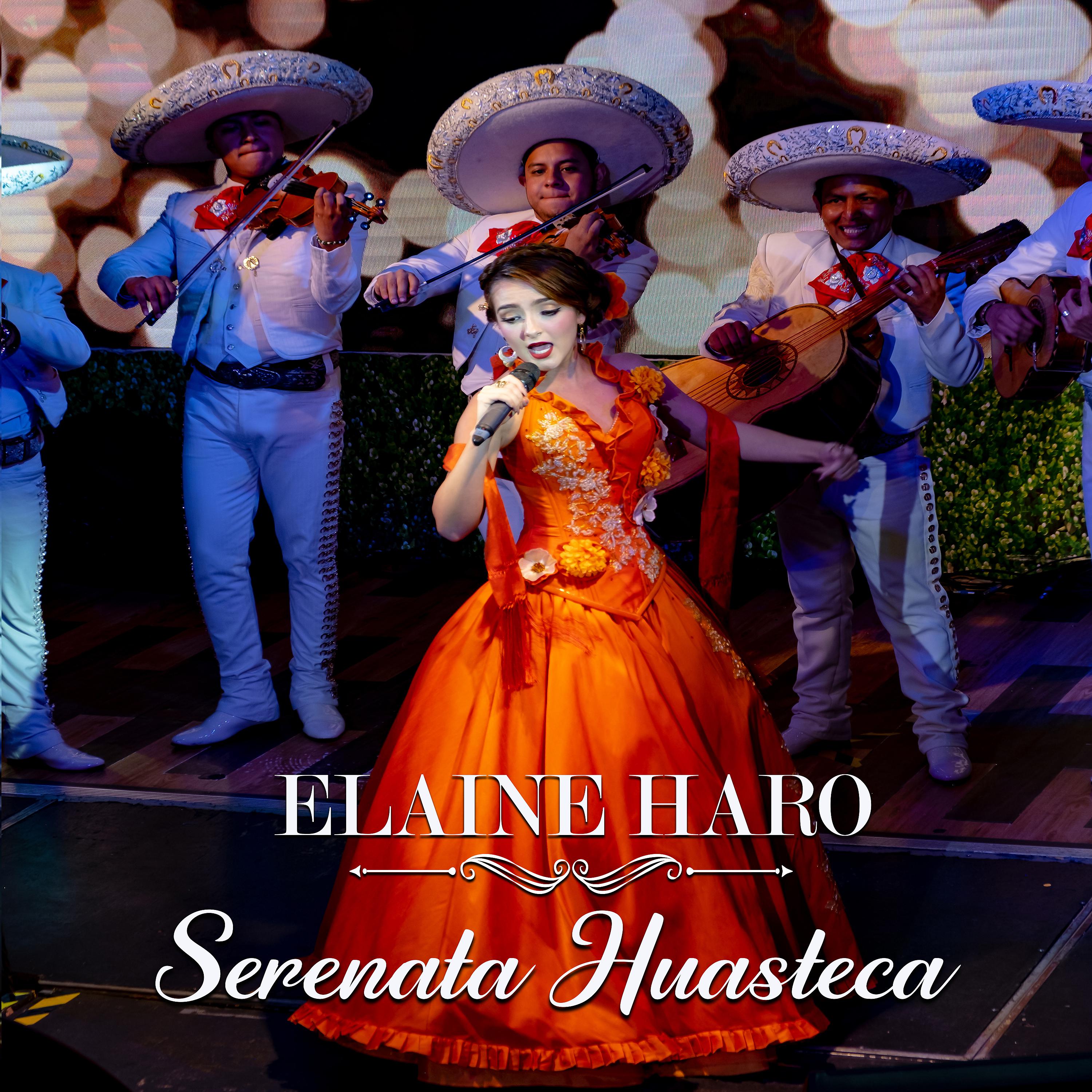 Постер альбома Serenata Huasteca