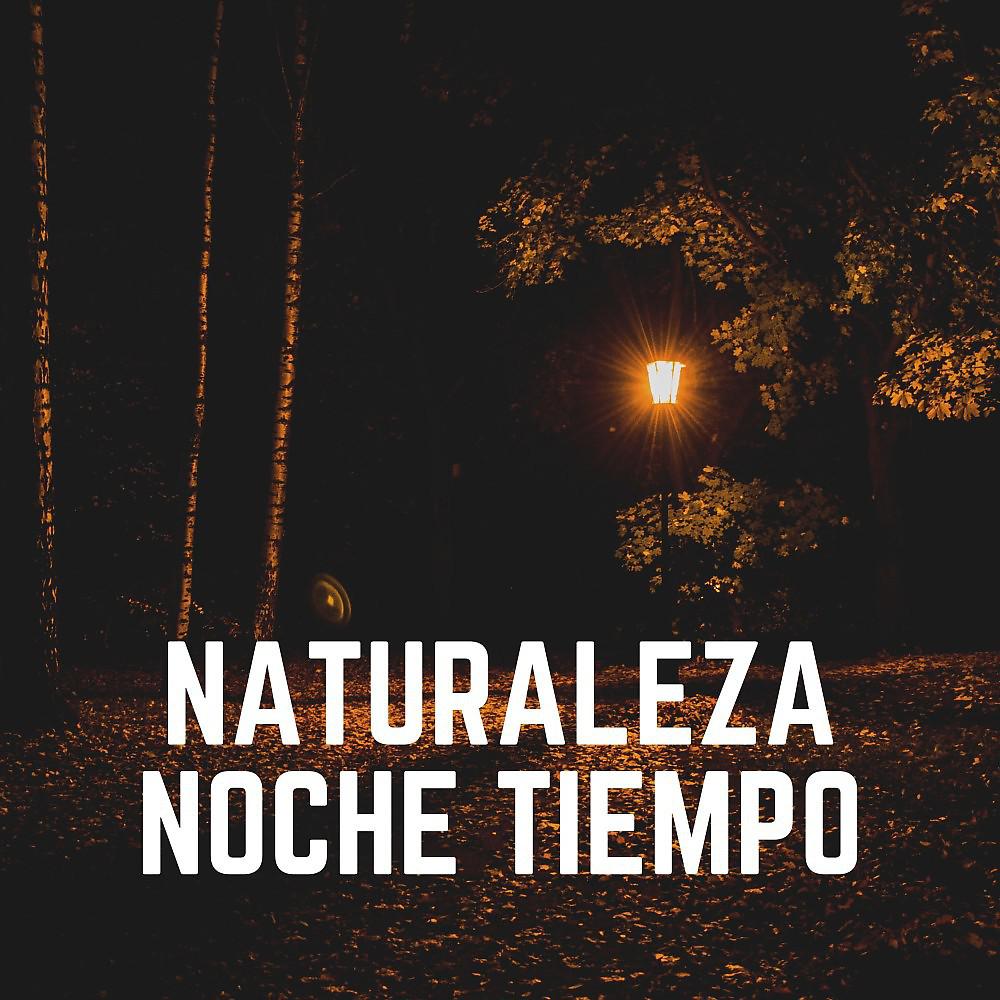 Постер альбома Naturaleza Noche Tiempo