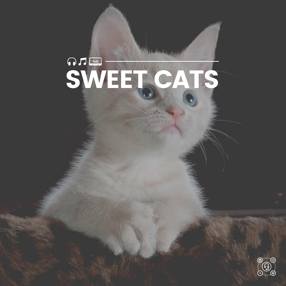 Music For Cats Peace - Ultimate Zen Music for Your Cat, Pt. 13