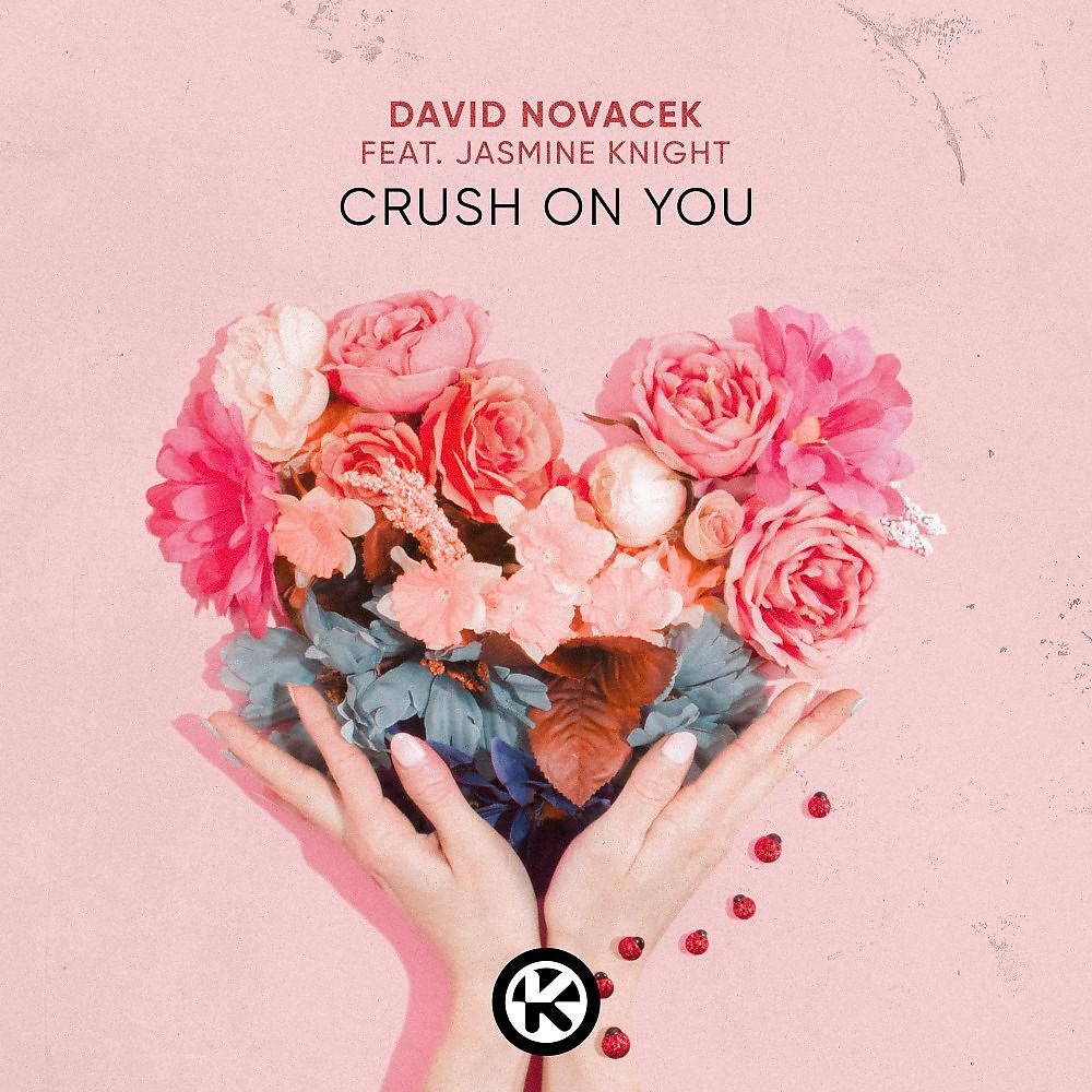 Постер альбома Crush on You