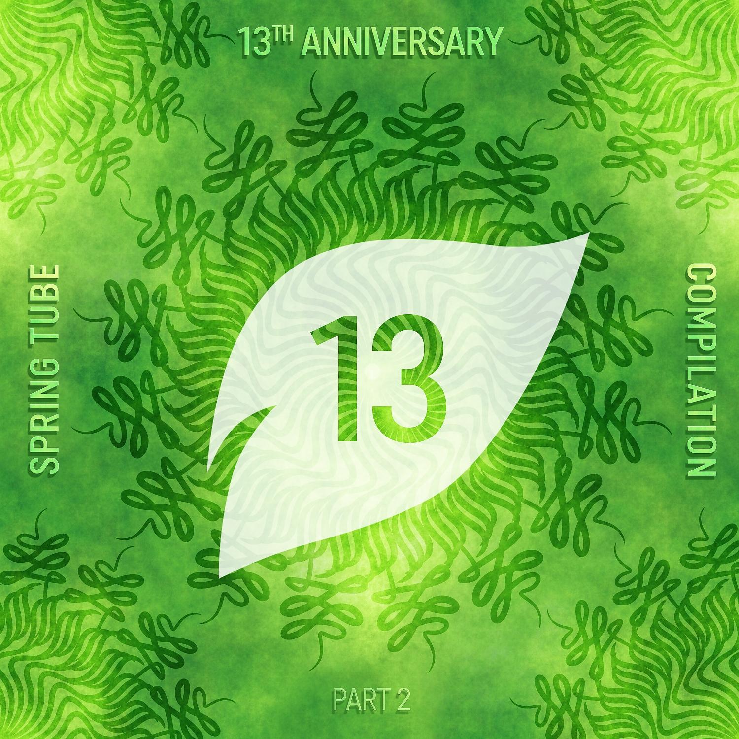Постер альбома Spring Tube 13th Anniversary Compilation, Pt. 2