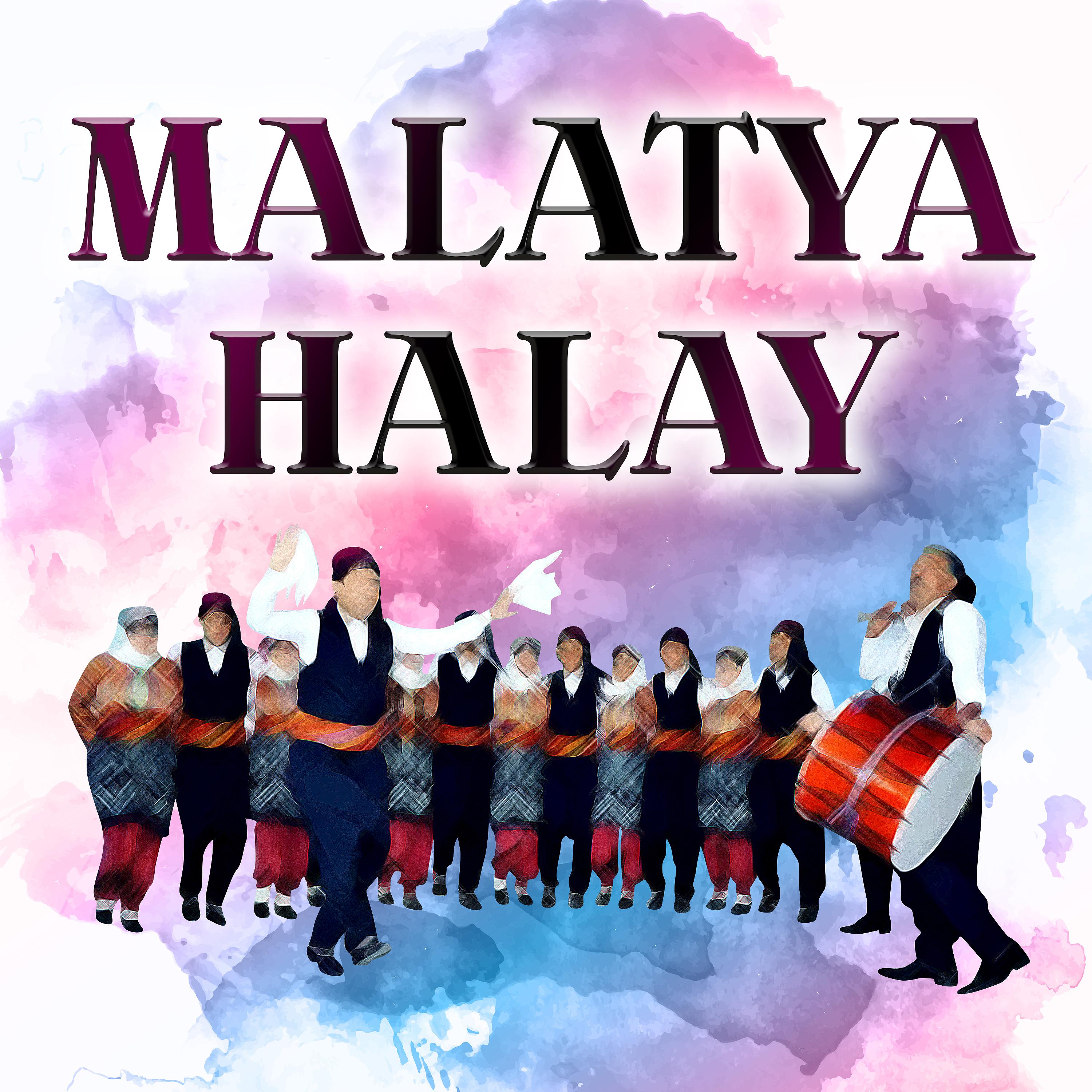 Постер альбома Malatya Halay