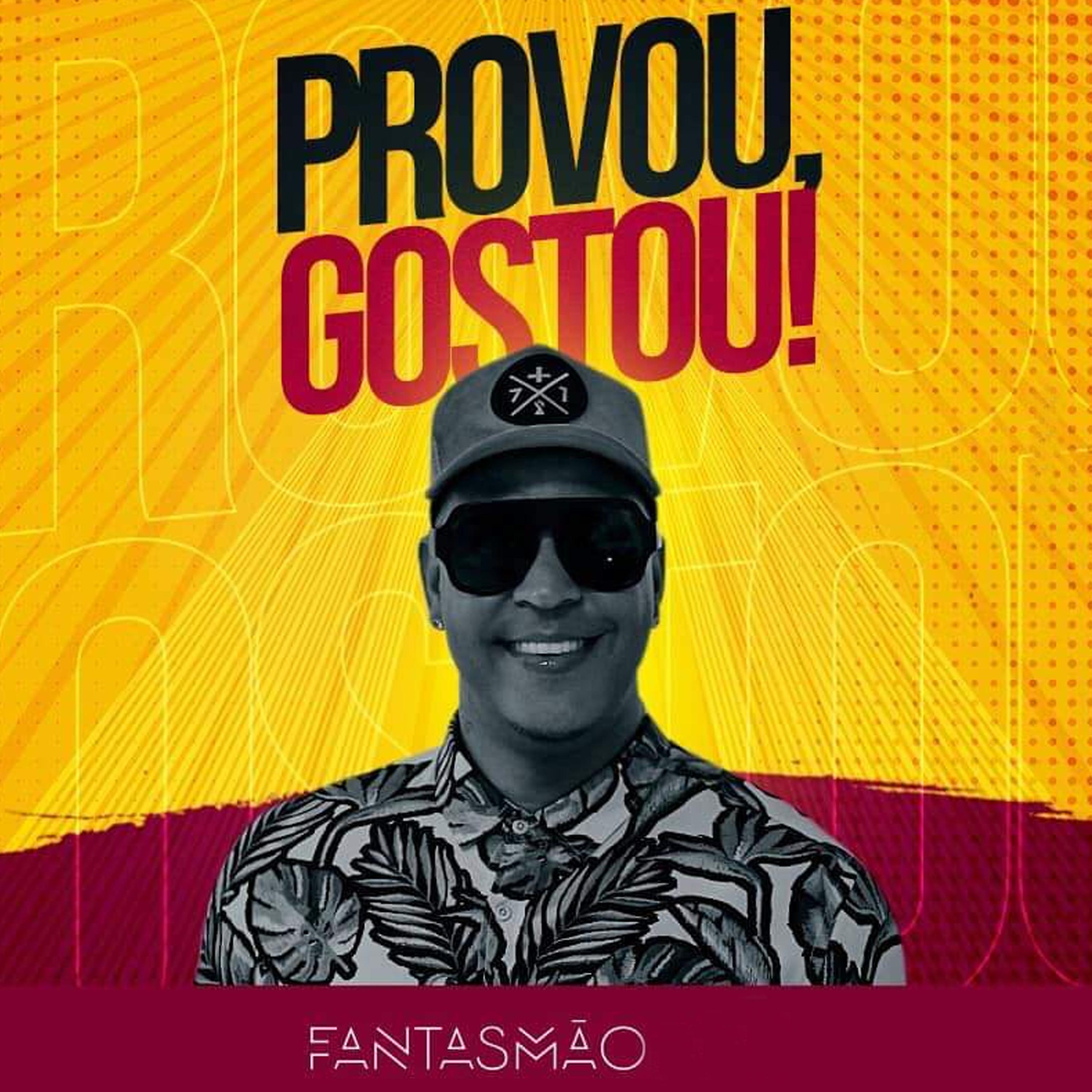 Постер альбома Provou Gostou