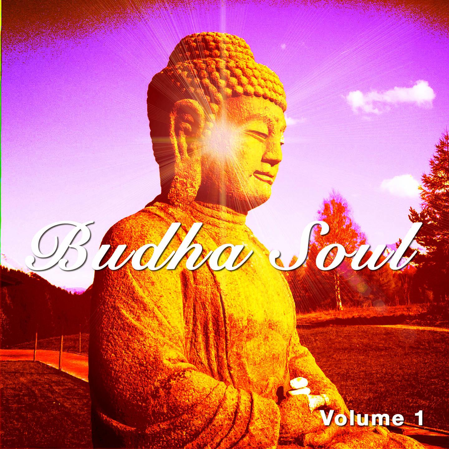 Постер альбома Budha Soul, Vol. 1 (Openminded Chill out & Meditation Tunes)