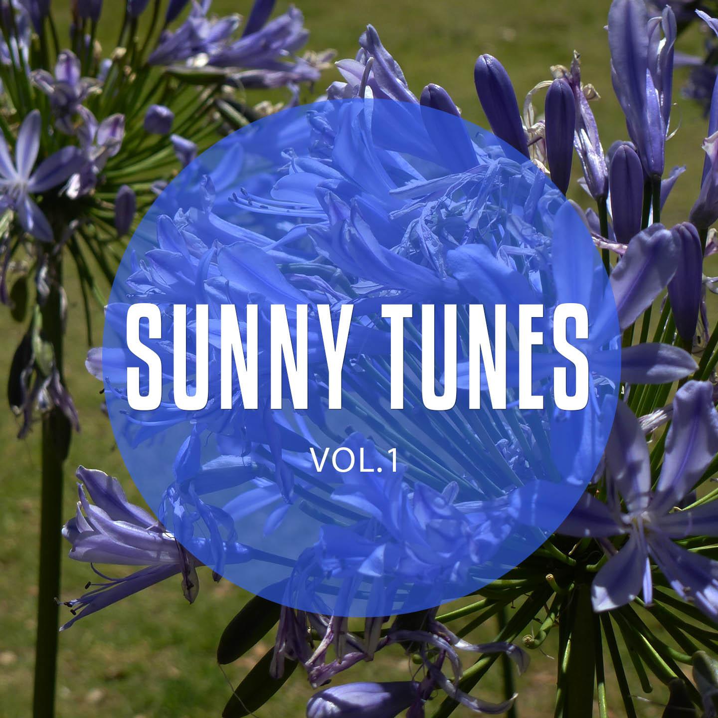 Постер альбома Sunny Tunes, Vol. 1