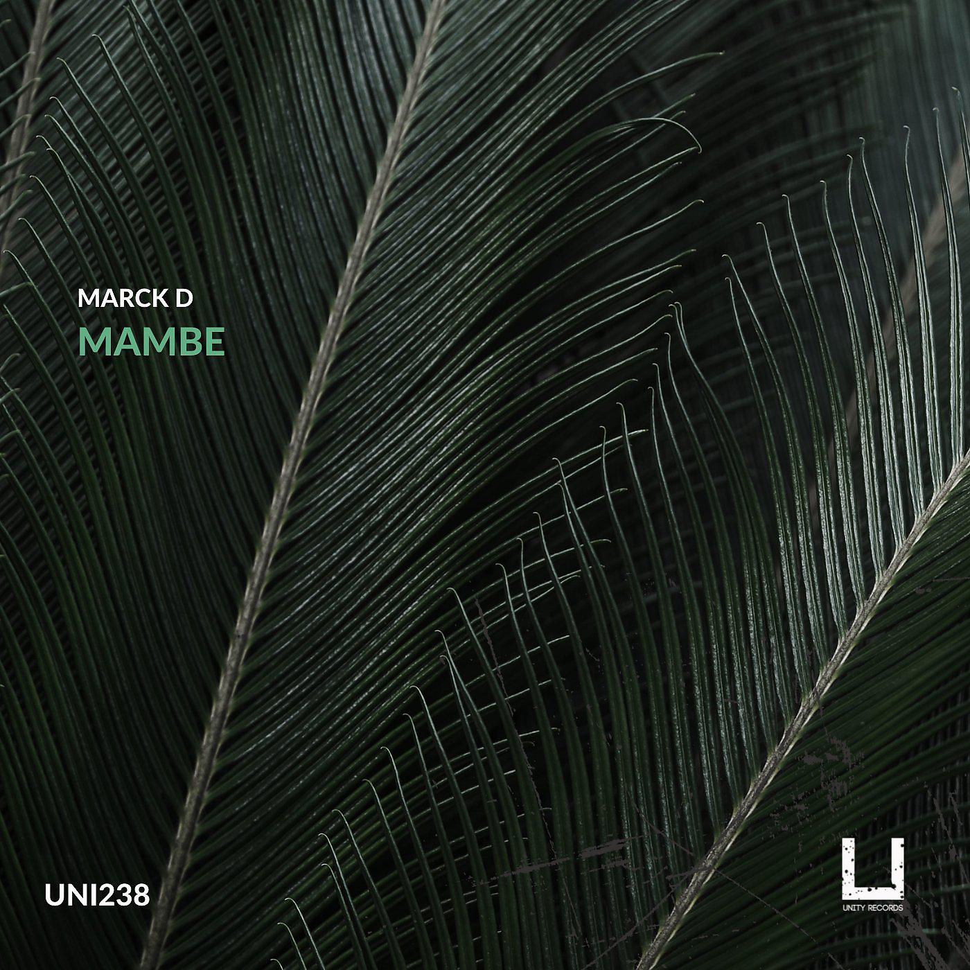 Постер альбома Mambe