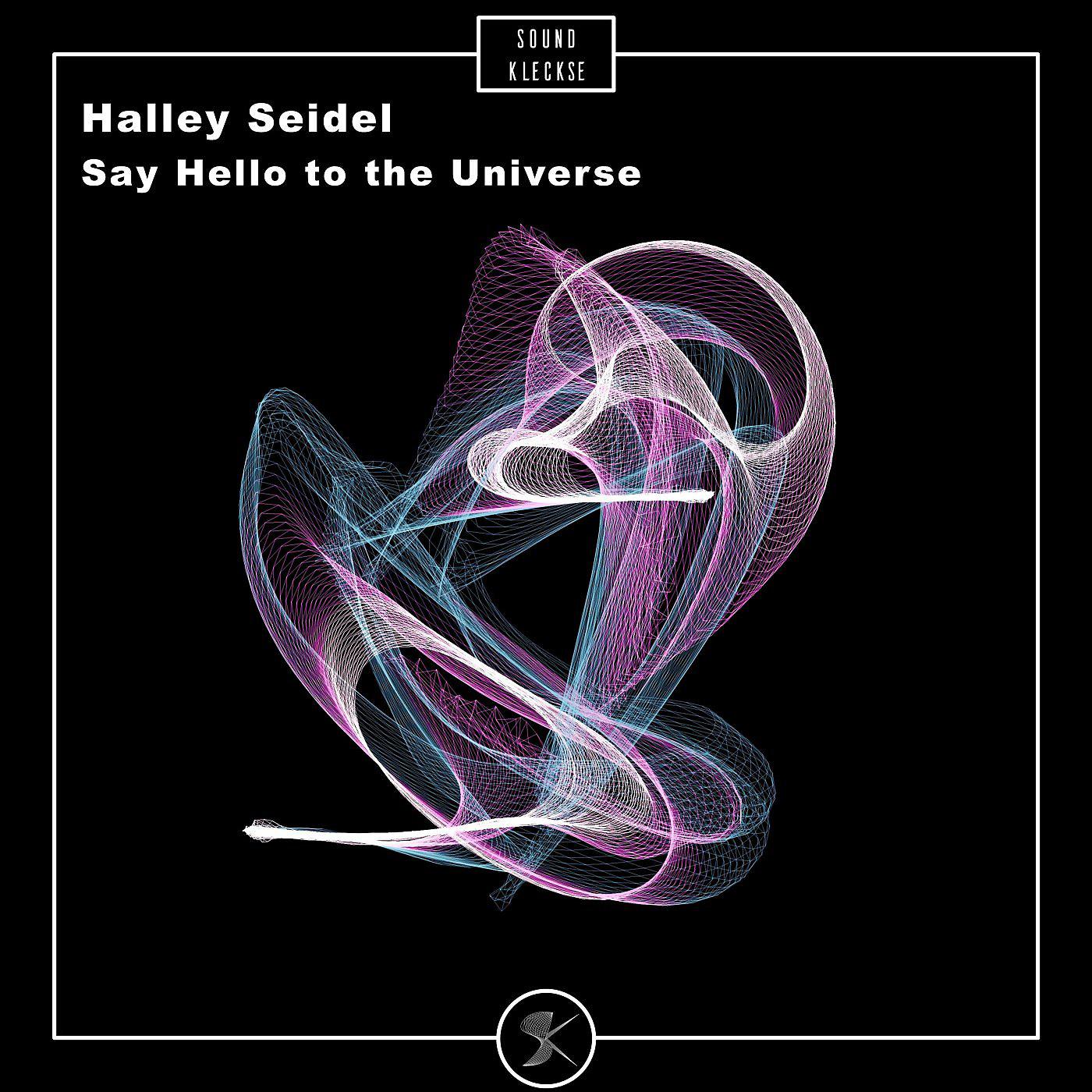 Постер альбома Say Hello To The Universe