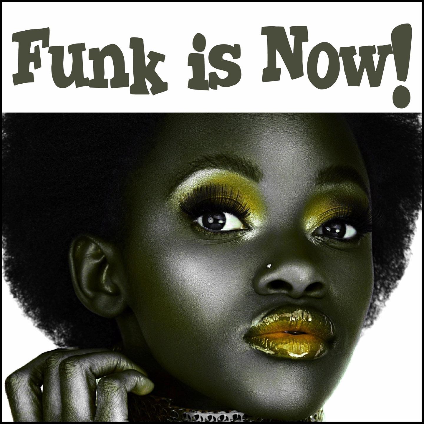 Постер альбома Funk Is Now!