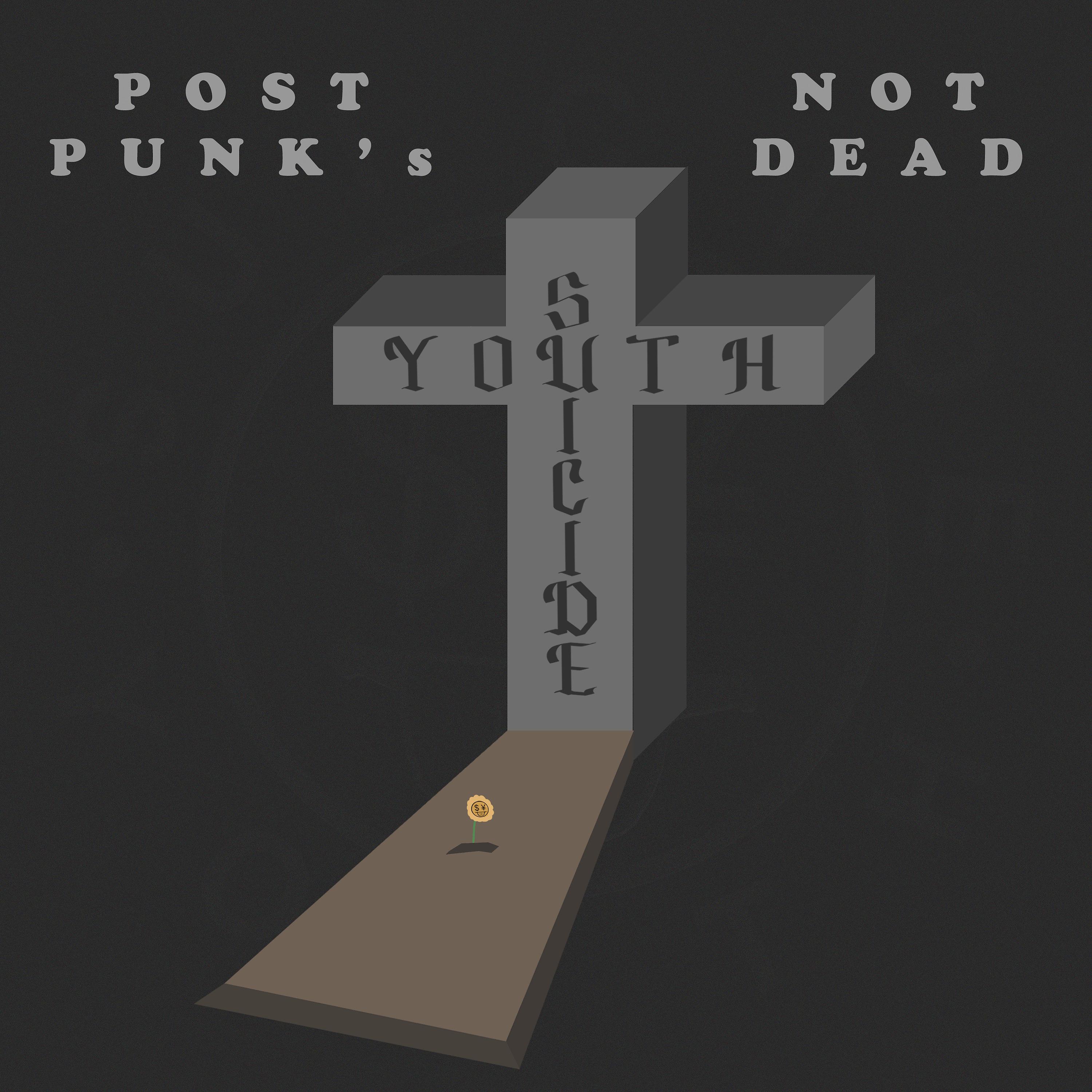 Постер альбома Post Punk's Not Dead