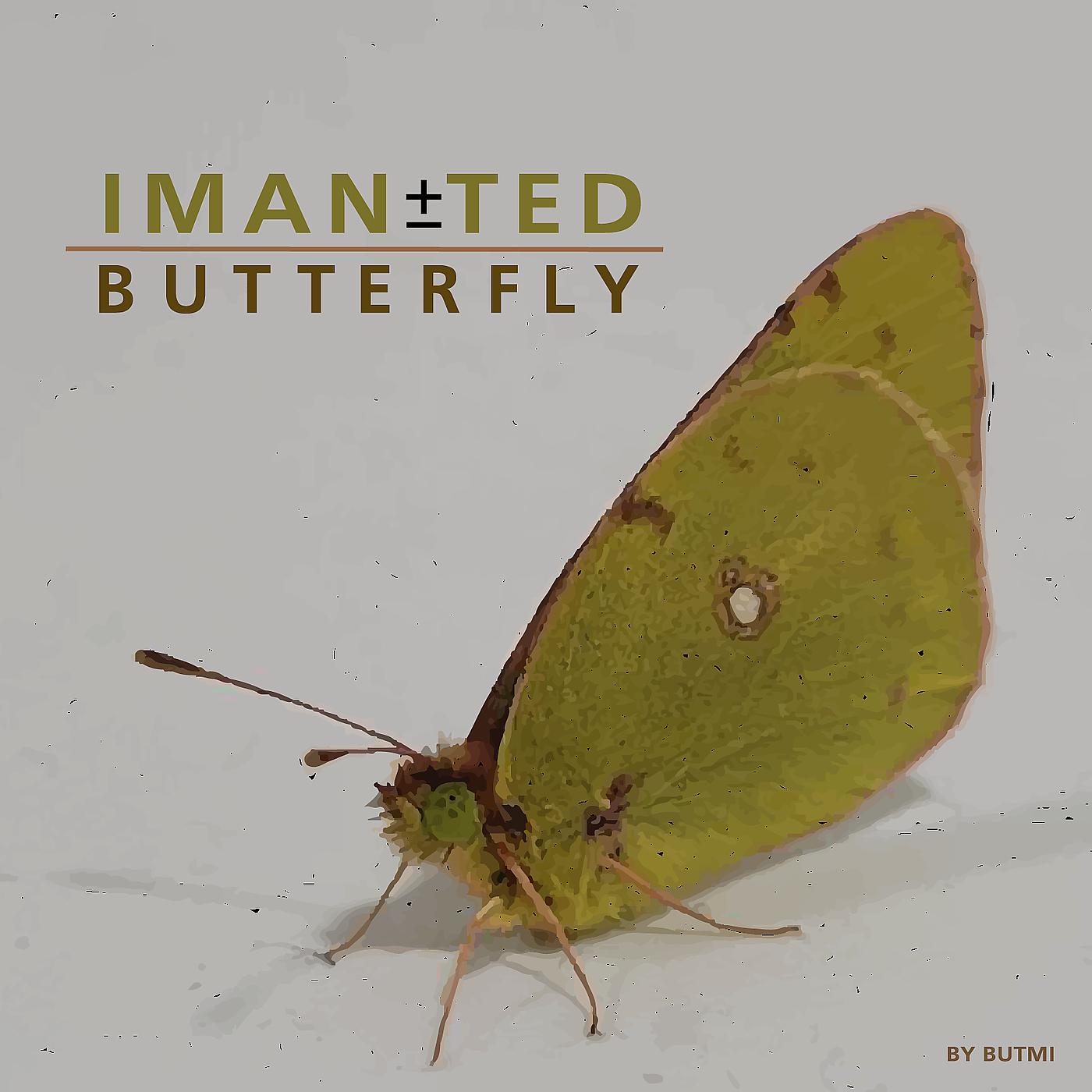 Постер альбома Iman±Ted Butterfly