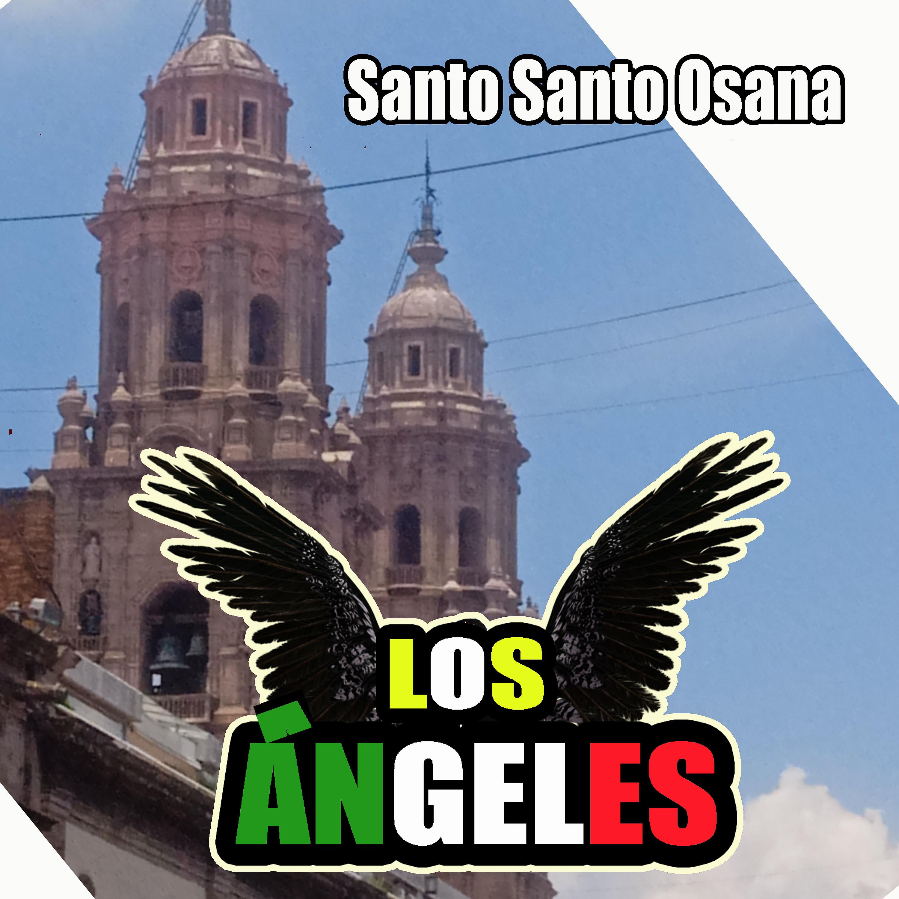 Постер альбома Santo Santo Osana
