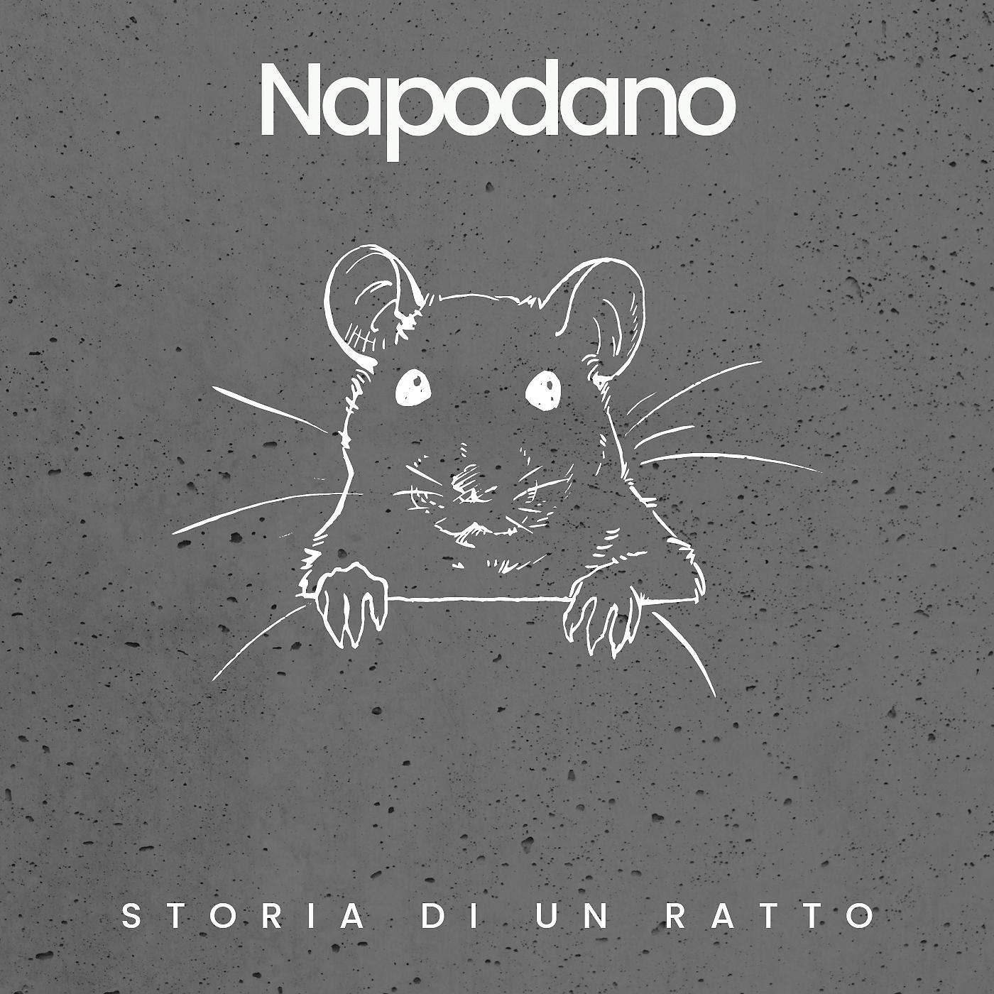 Постер альбома Storia di un ratto