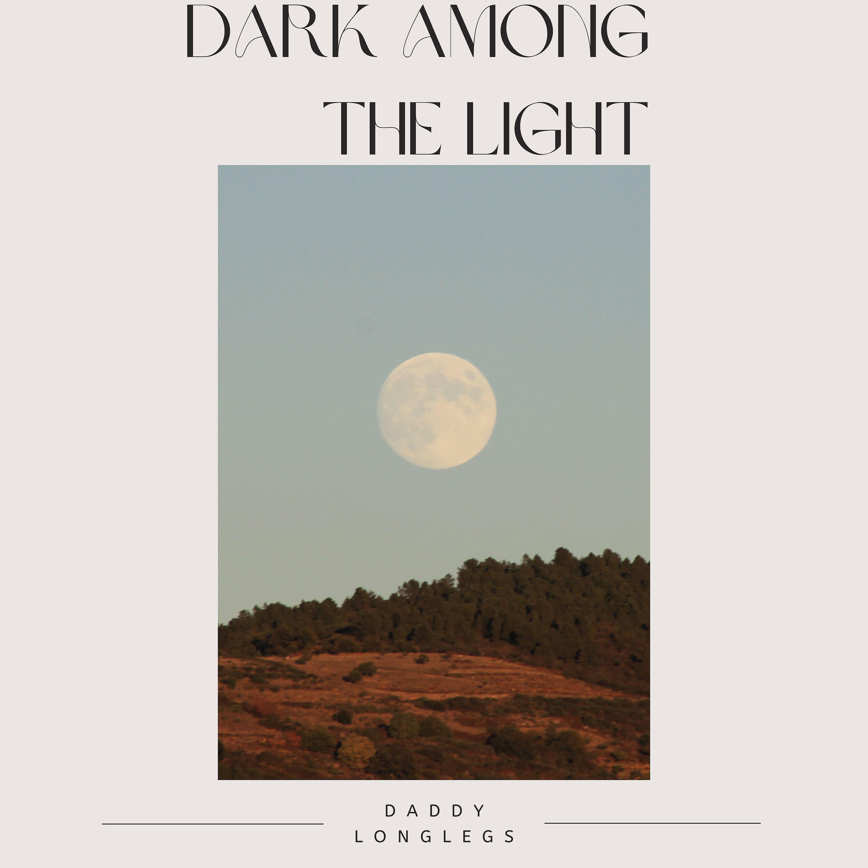 Постер альбома Dark among the Light