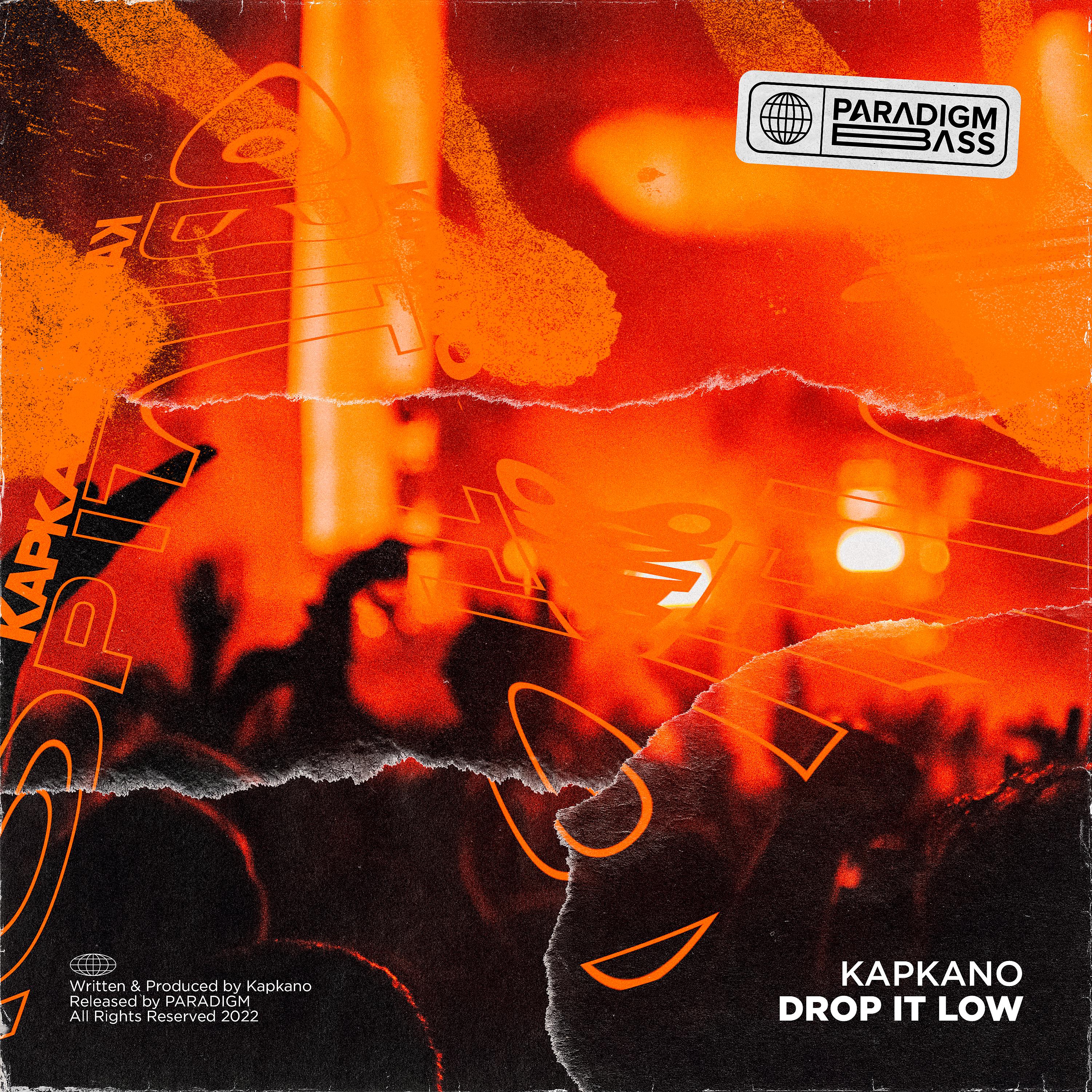 Постер альбома Drop It Low