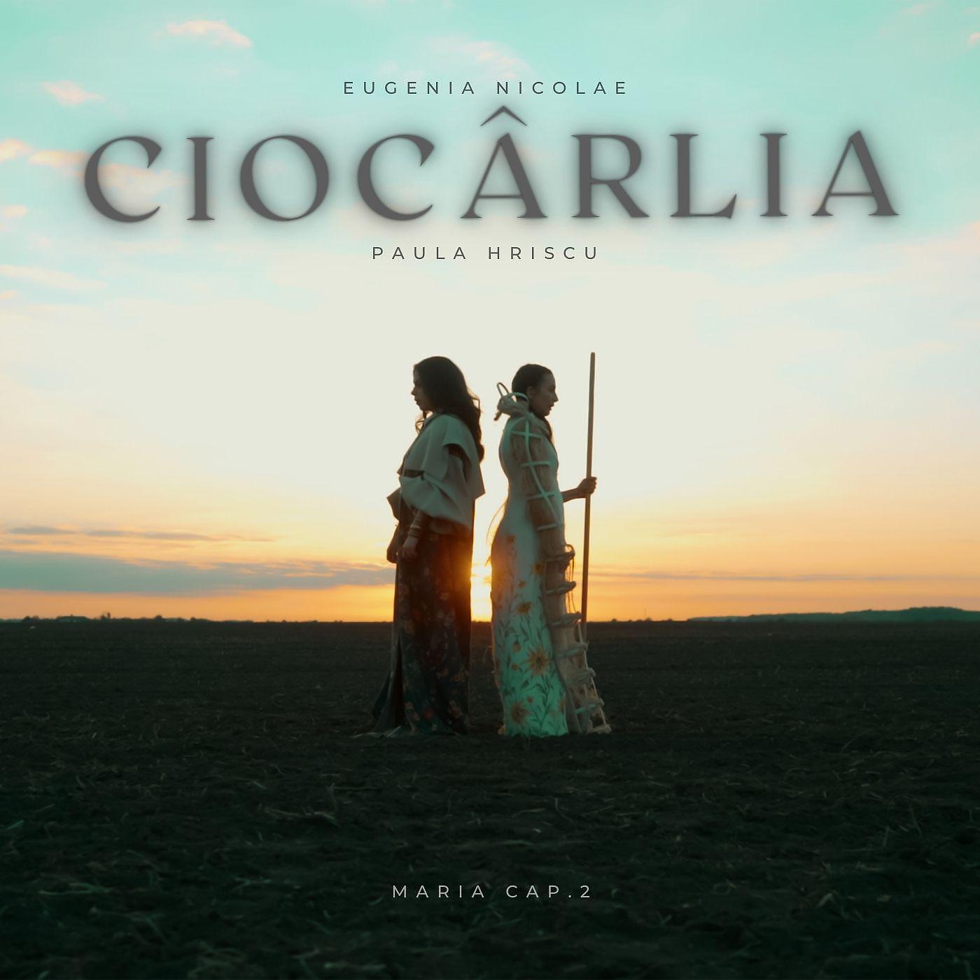 Постер альбома Ciocârlia