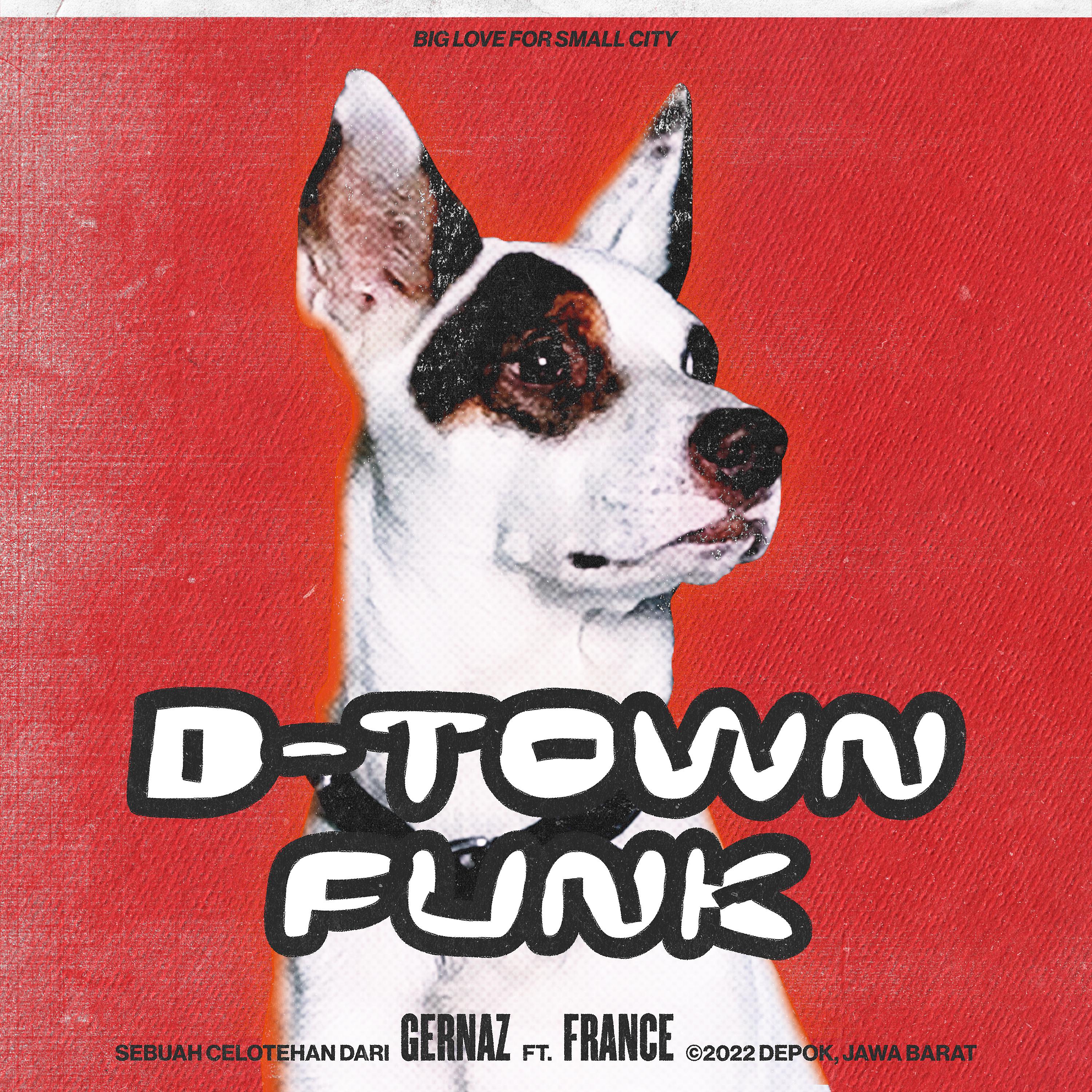Постер альбома D-Town Funk