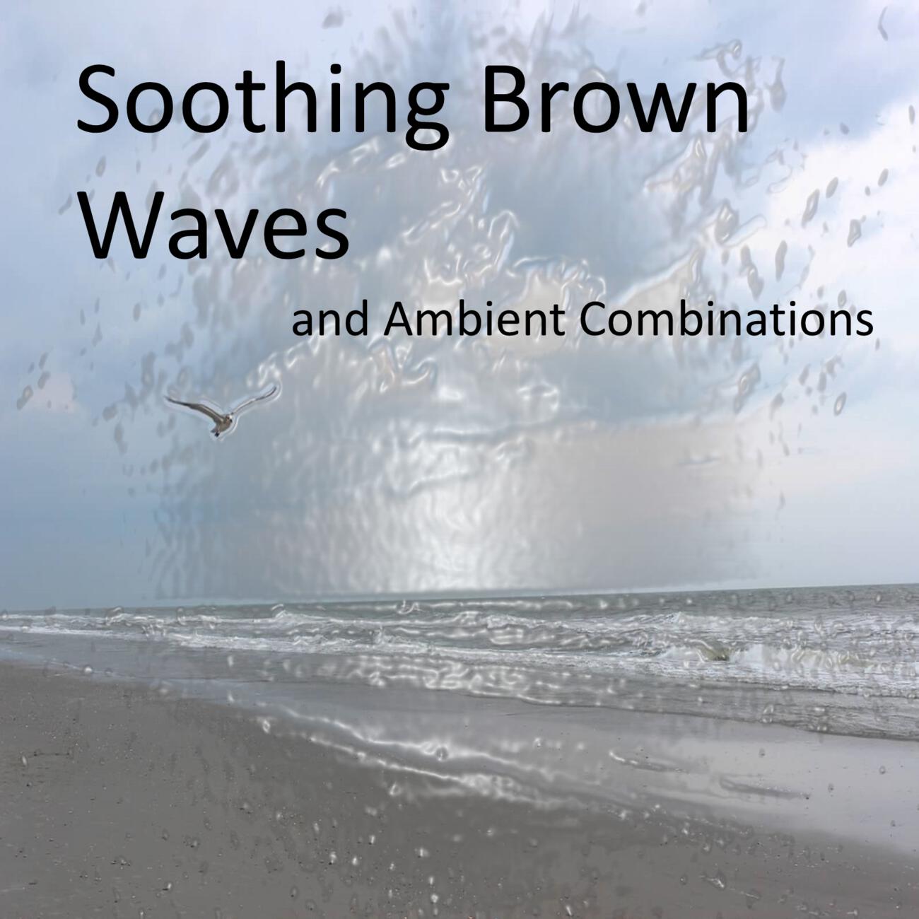 Sleep Baby Sleep - Sink Spray and Soothing Brown Noise