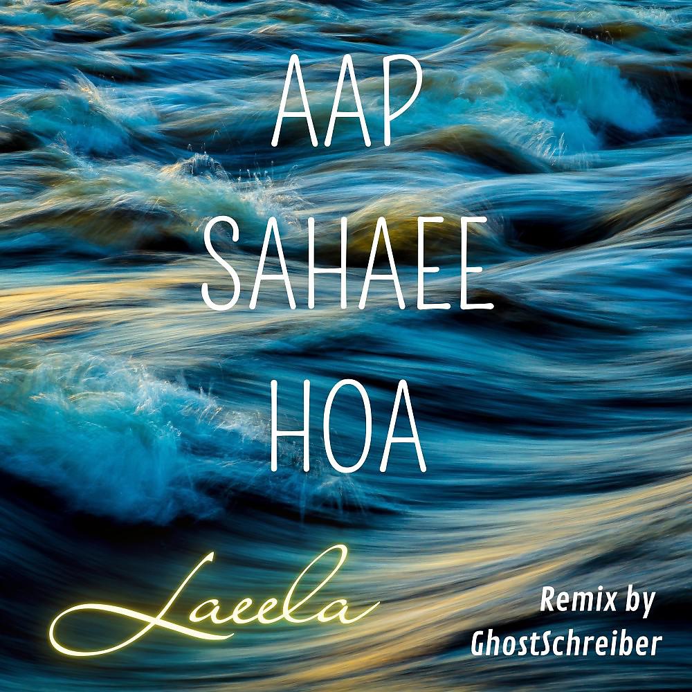 Постер альбома Aap Sahaee Hoa (Remix)