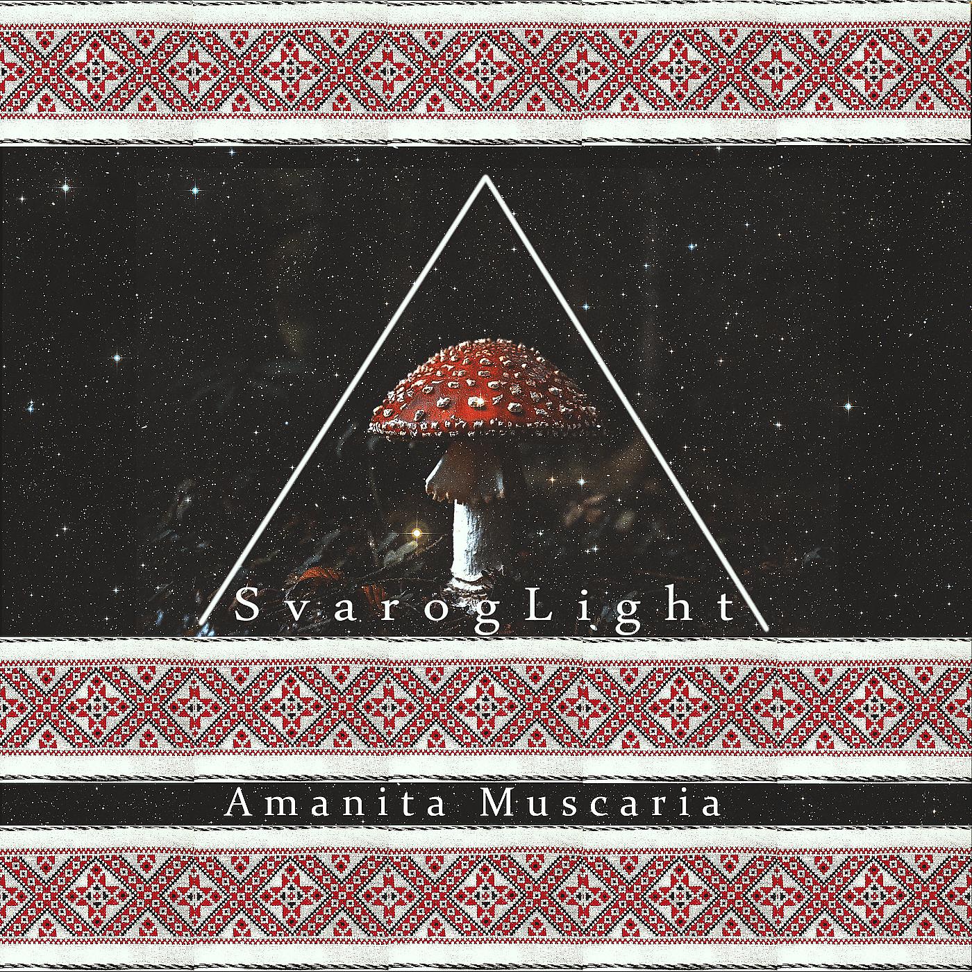 Постер альбома Amanita Muscaria