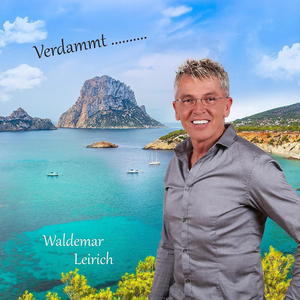 Постер альбома Verdammt ( Party )