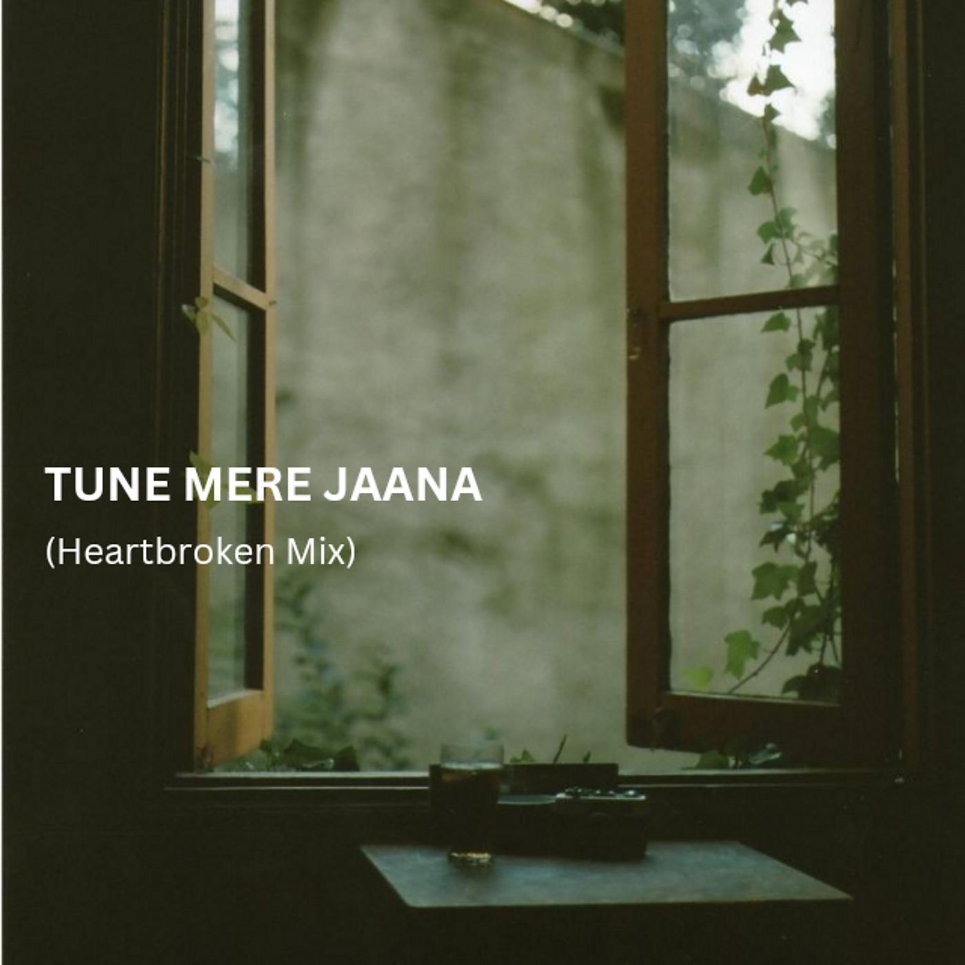Постер альбома Tune Mere Jaana (Heartbroken Mix)