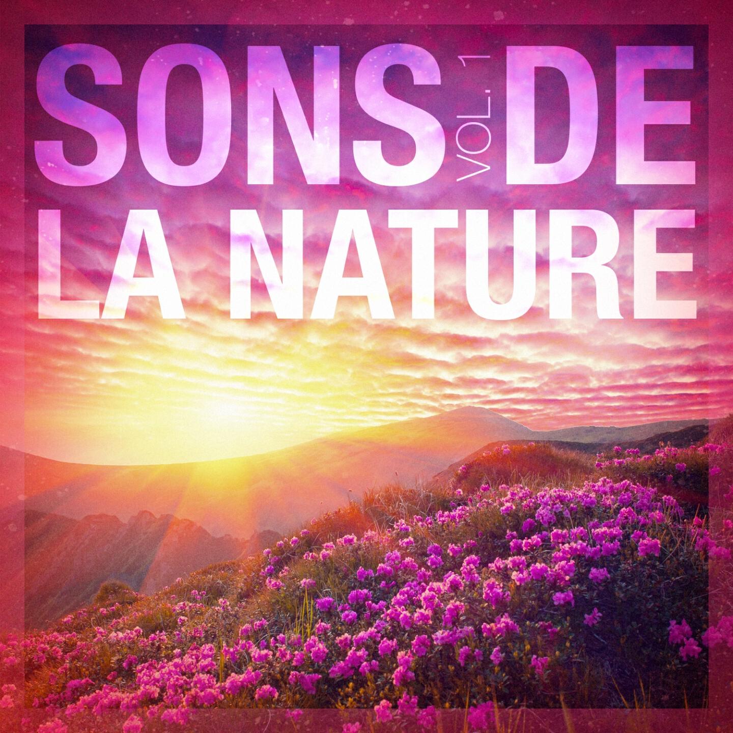 Musique et sons naturels - Sons des prés : Alouettes, criquets