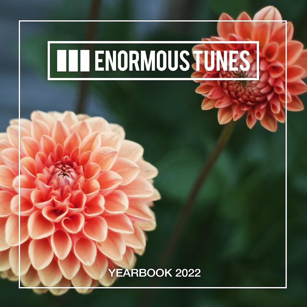 Постер альбома Enormous Tunes - The Yearbook 2022