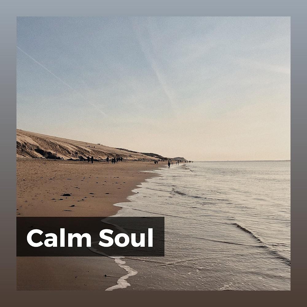 Постер альбома Calm Soul