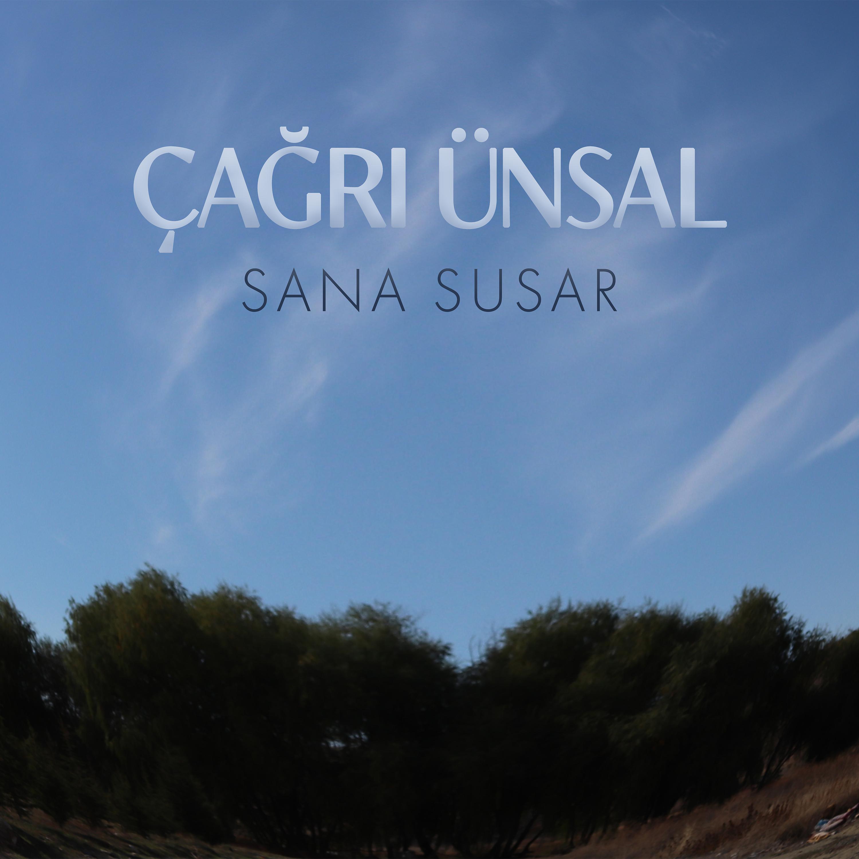 Постер альбома Sana Susar