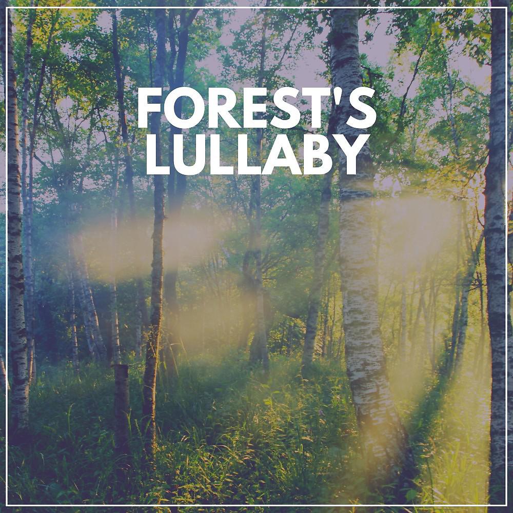 Постер альбома Forest's Lullaby