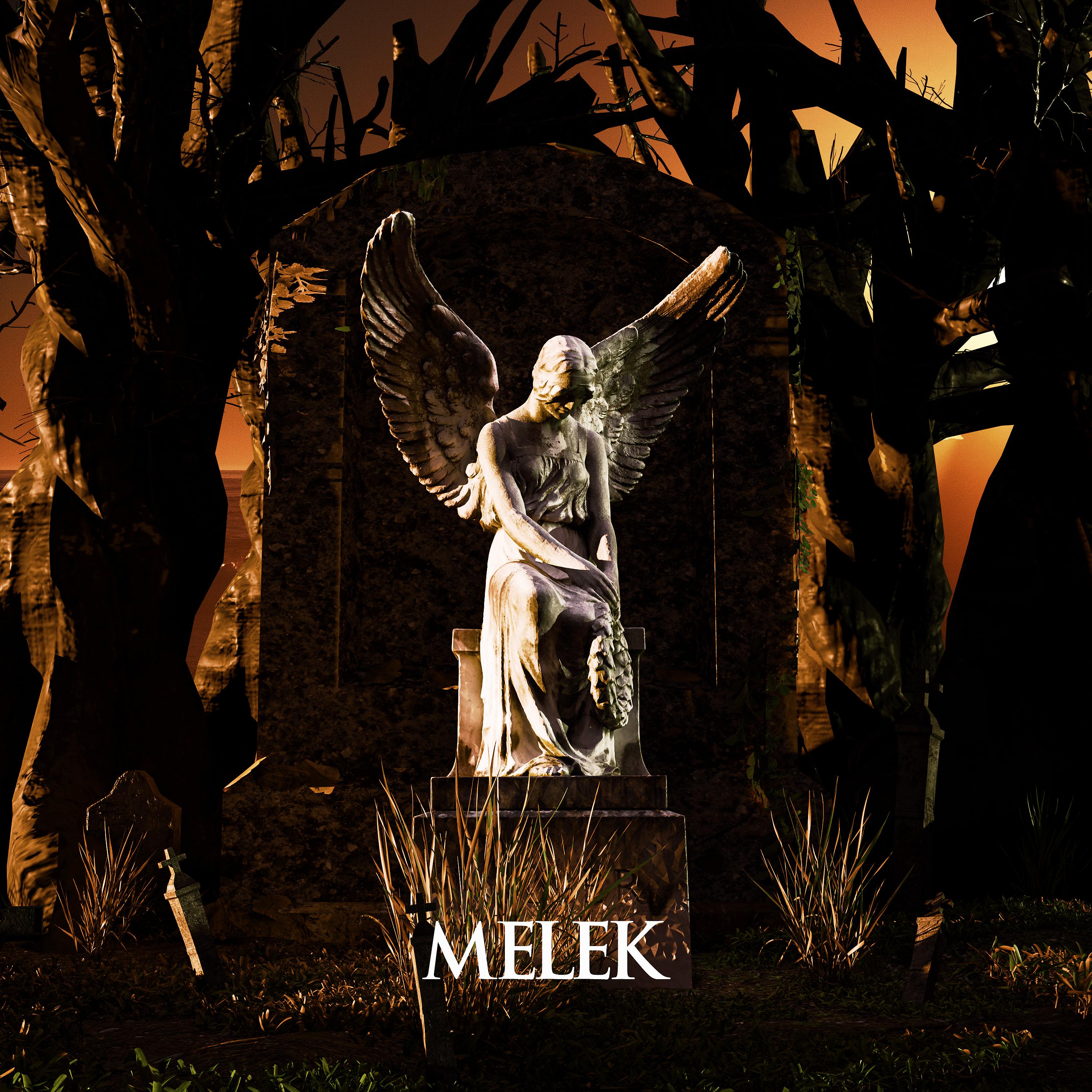 Постер альбома Melek