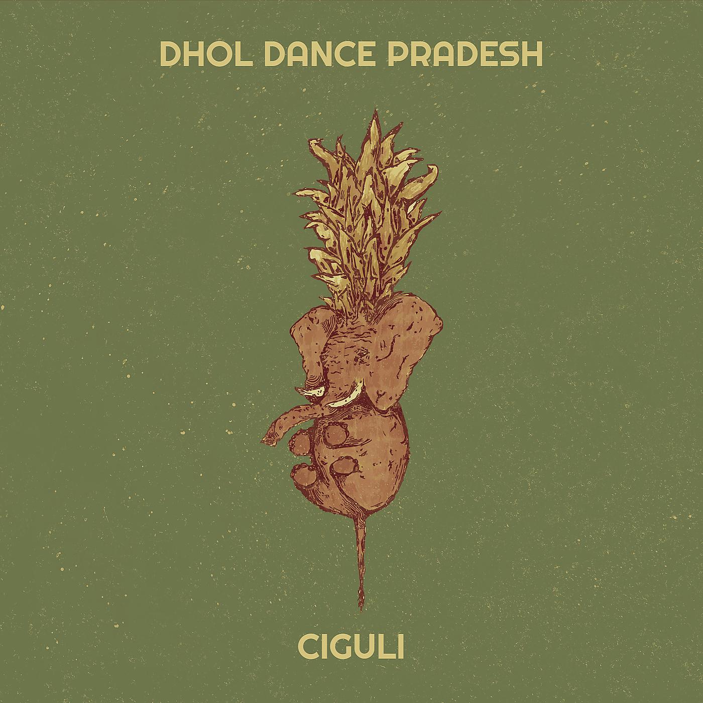 Постер альбома Dhol Dance Pradesh