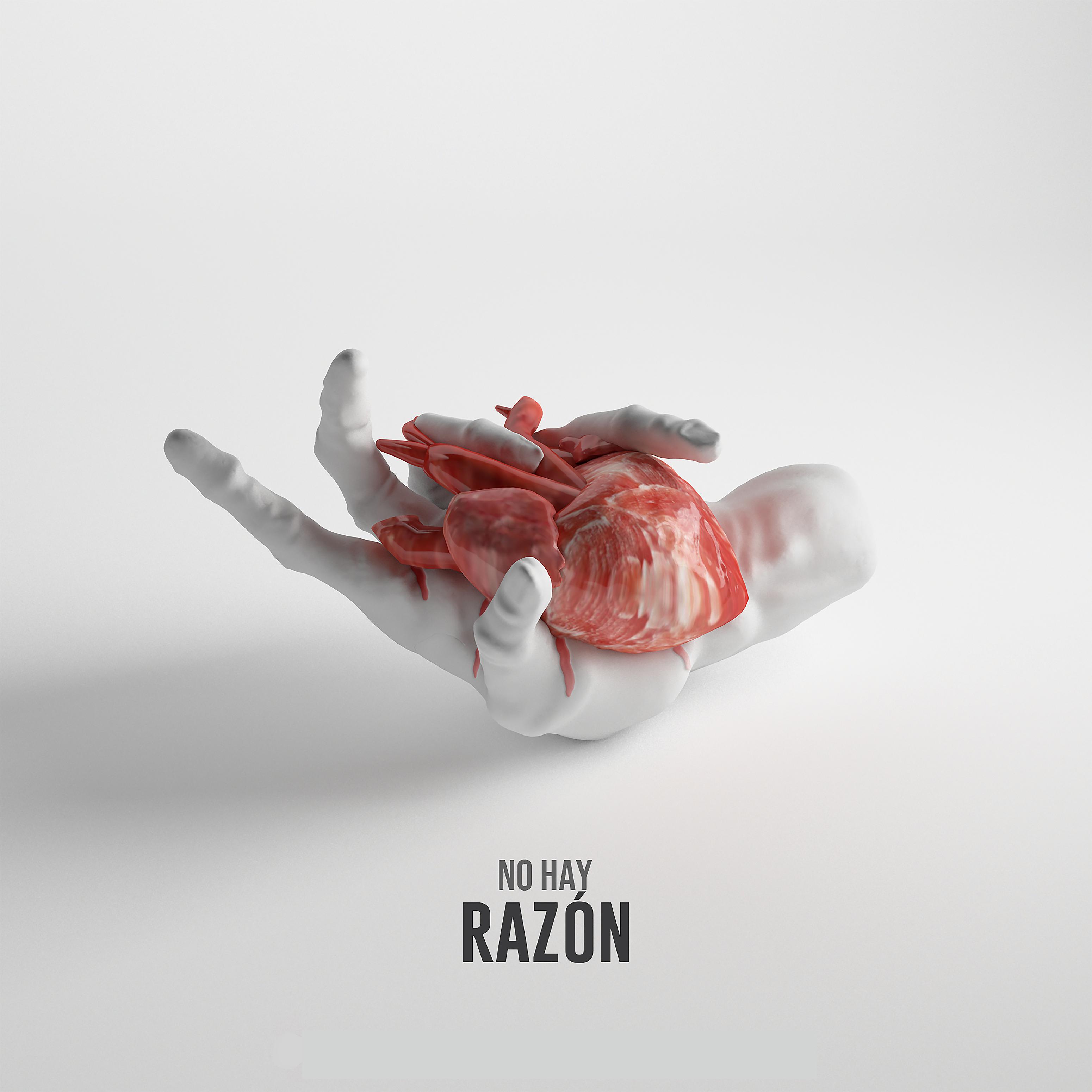 Постер альбома No Hay Razón